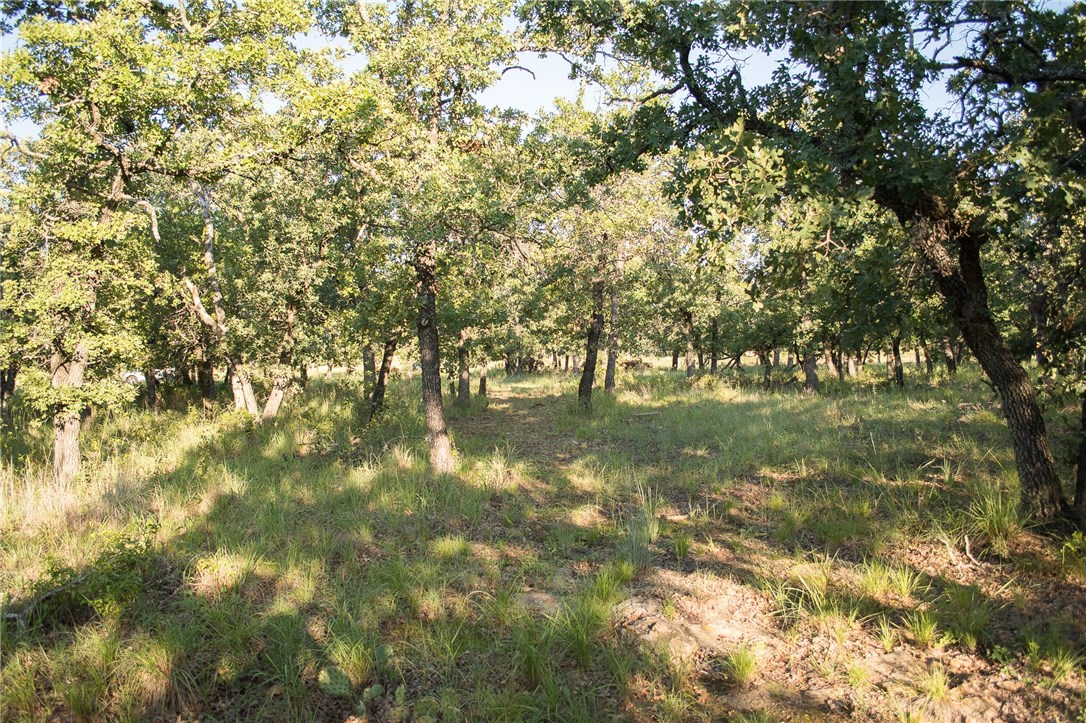1020 Post Oak Road, Gordon, TX, 76453