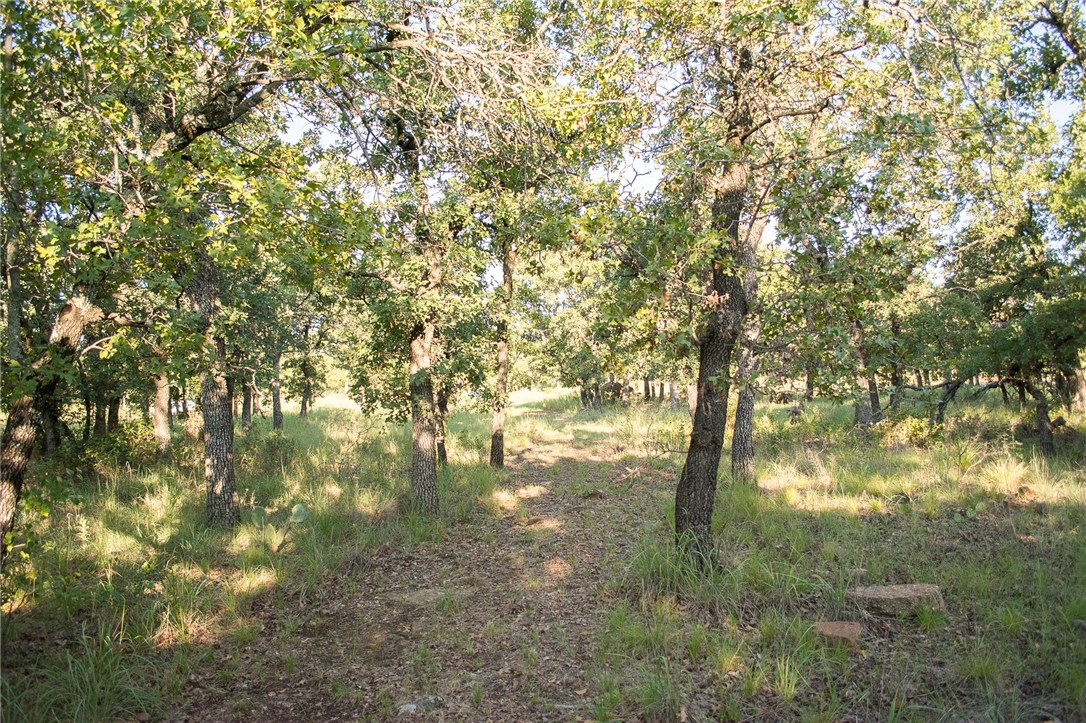 1020 Post Oak Road, Gordon, TX, 76453