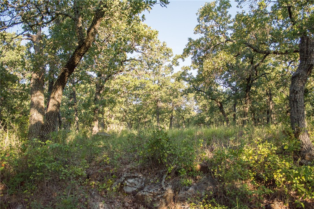 1020 Post Oak Road, Gordon, TX, 76453