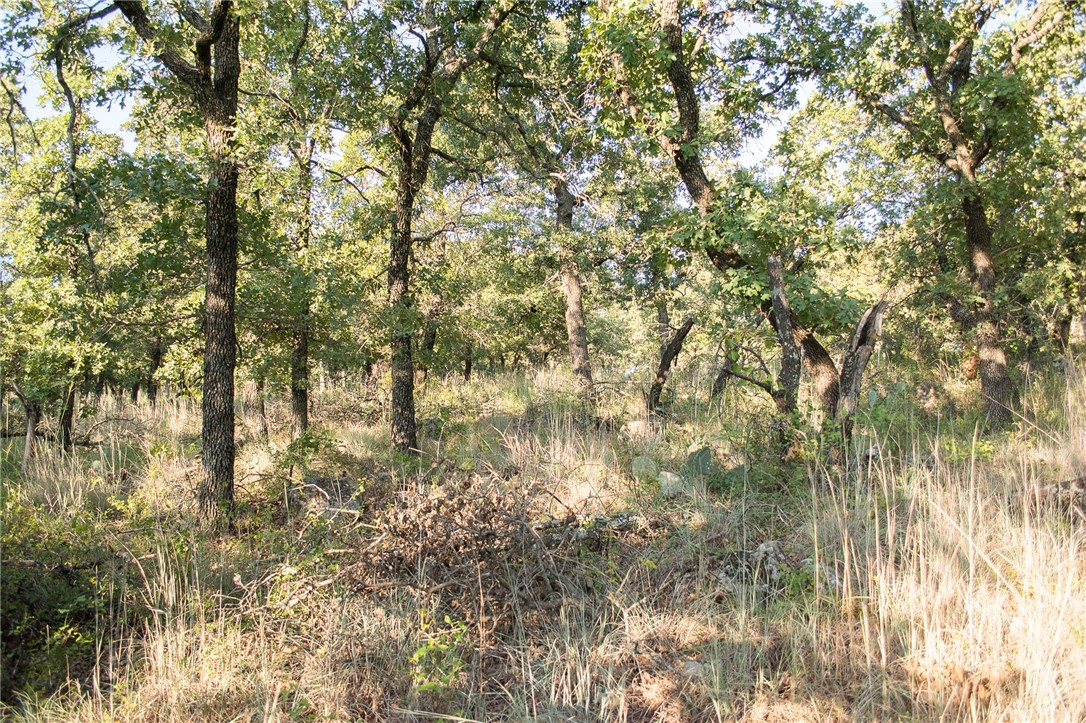 1020 Post Oak Road, Gordon, TX, 76453