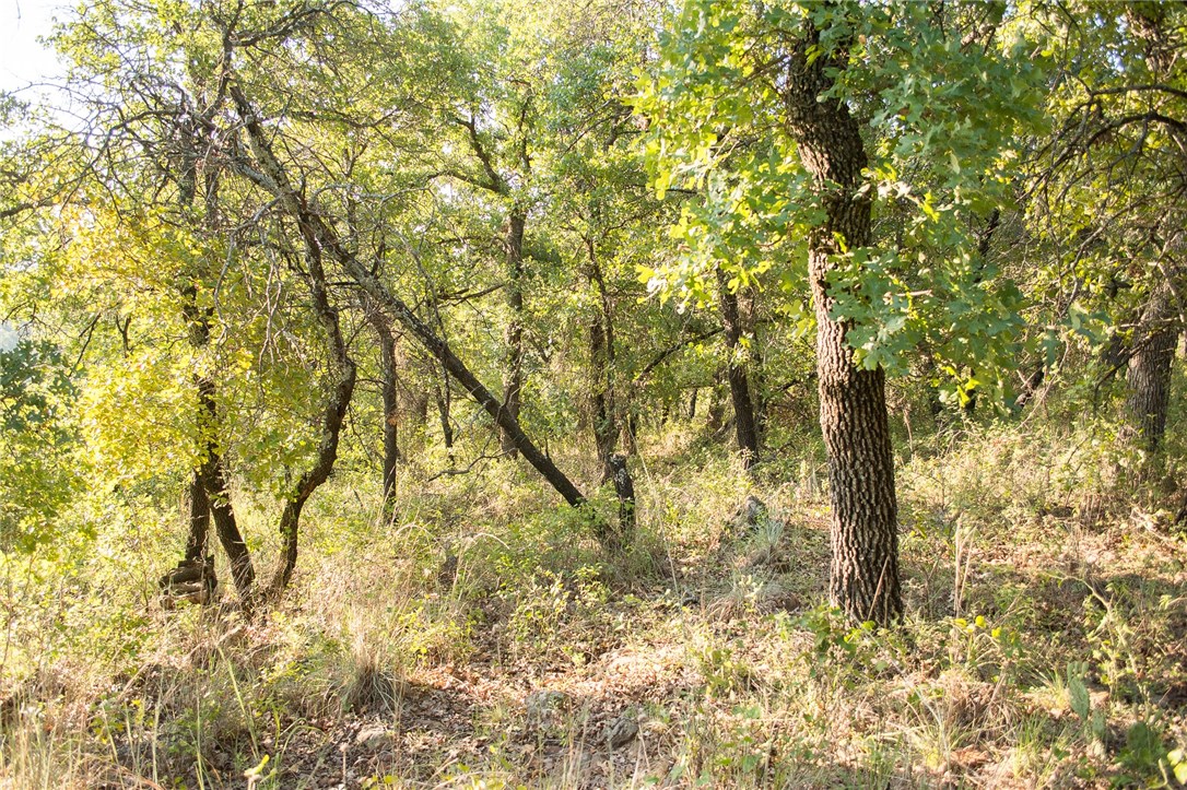 1020 Post Oak Road, Gordon, TX, 76453