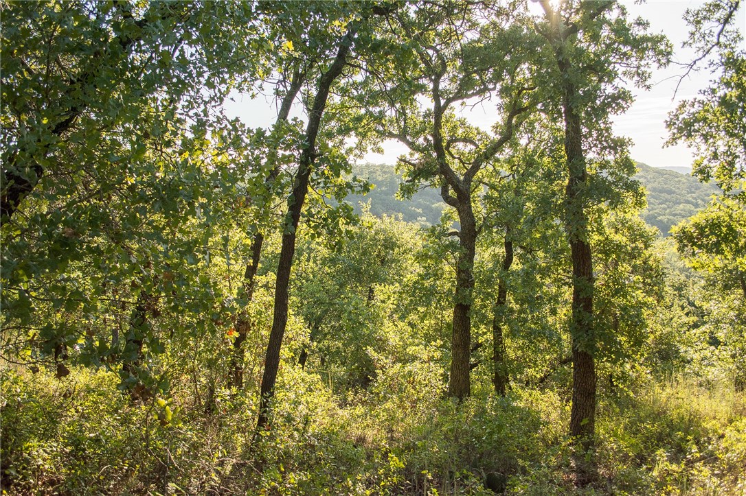 1020 Post Oak Road, Gordon, TX, 76453