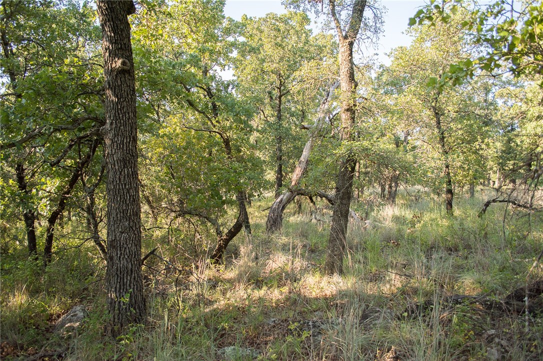 1020 Post Oak Road, Gordon, TX, 76453