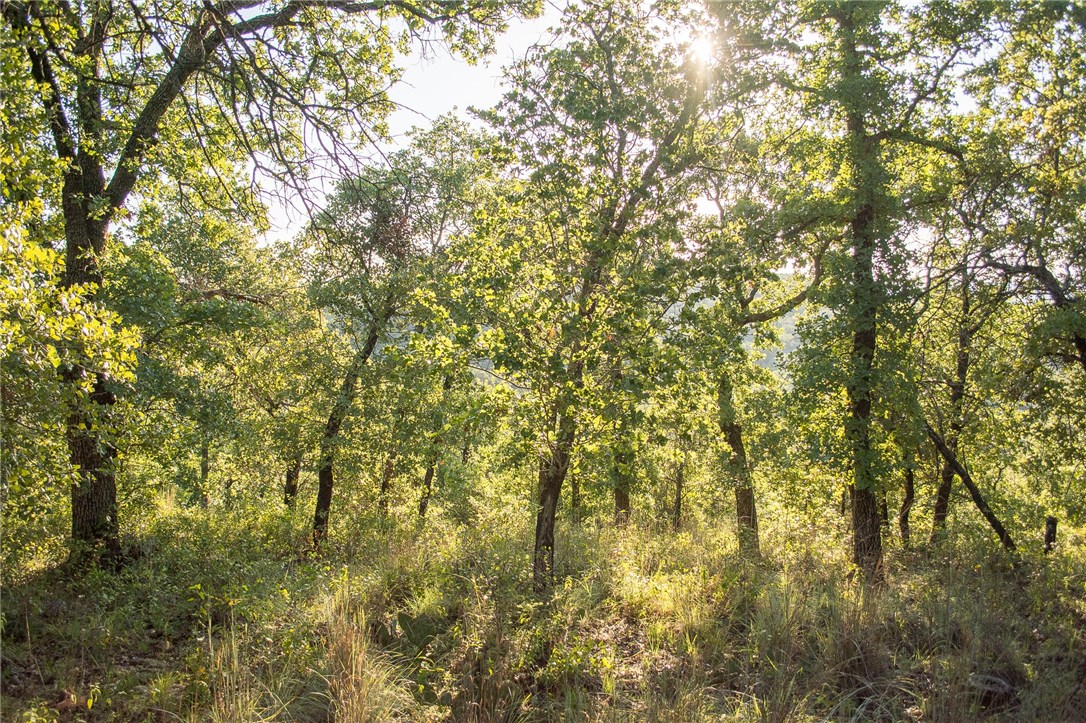 1020 Post Oak Road, Gordon, TX, 76453
