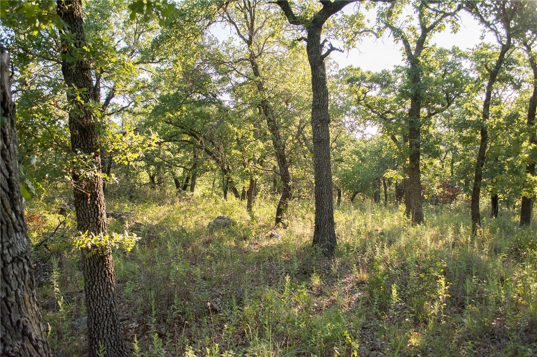 1020 Post Oak Road, Gordon, TX, 76453