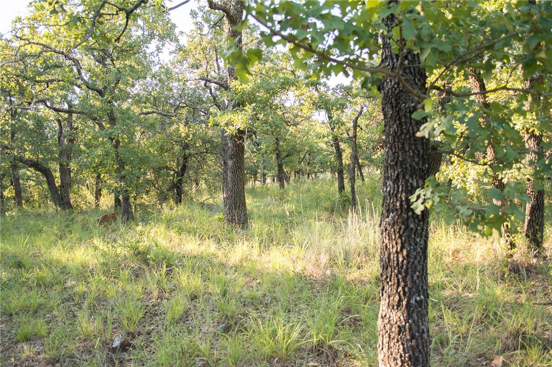 1020 Post Oak Road, Gordon, TX, 76453