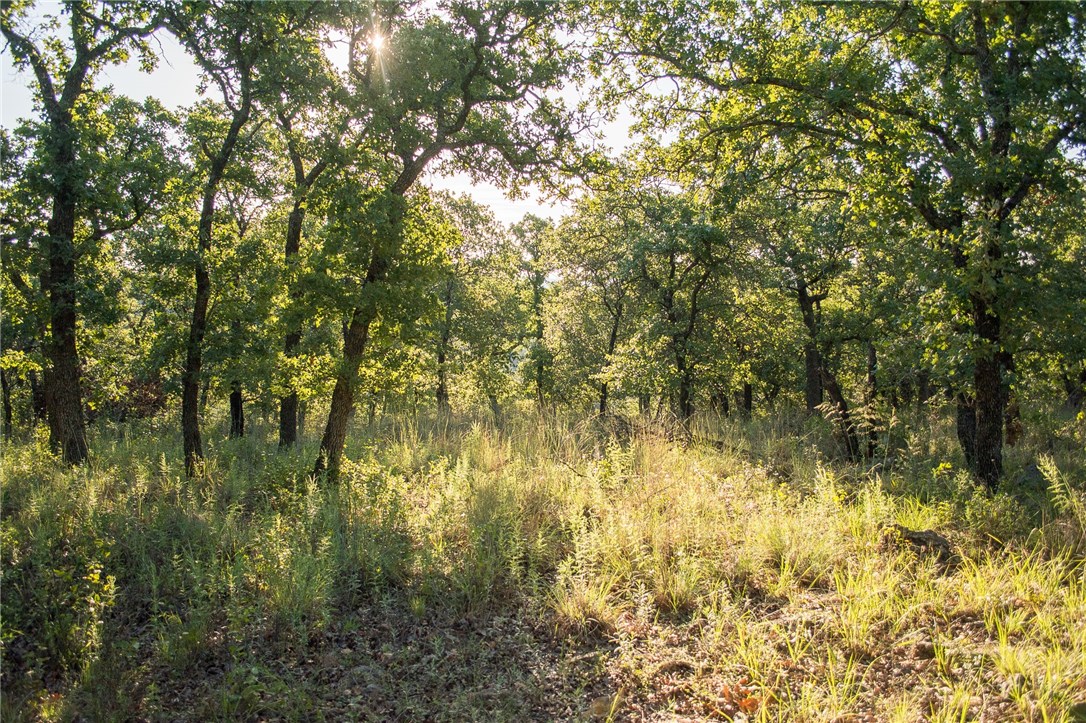 1020 Post Oak Road, Gordon, TX, 76453