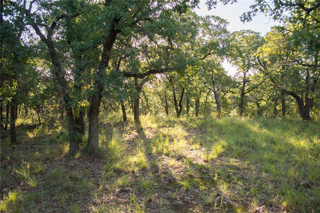 1020 Post Oak Road, Gordon, TX, 76453