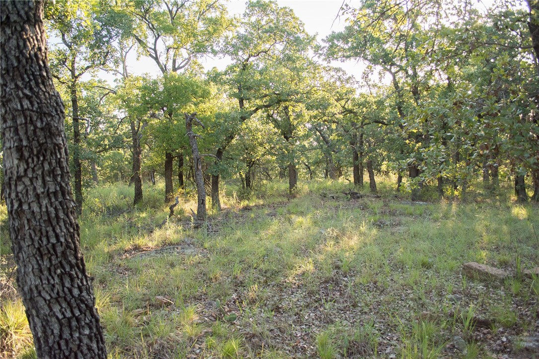1020 Post Oak Road, Gordon, TX, 76453