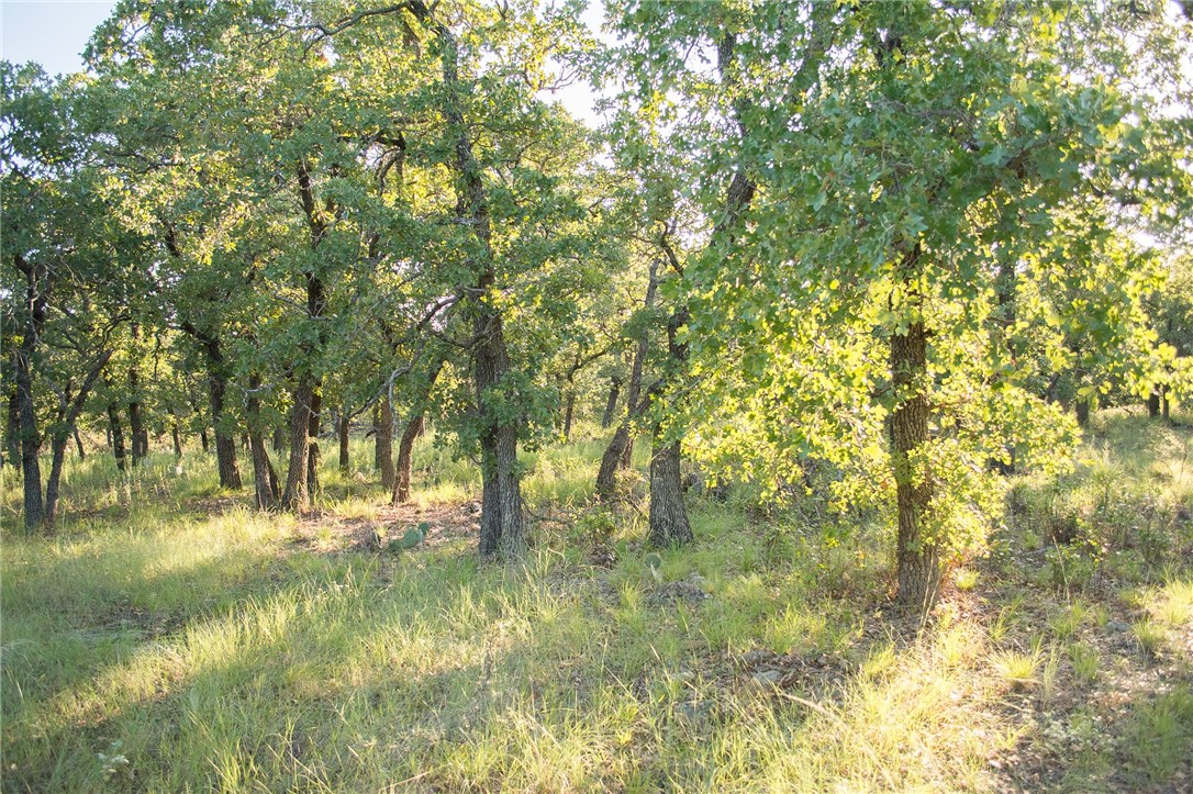 1020 Post Oak Road, Gordon, TX, 76453