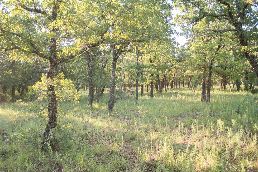 1020 Post Oak Road, Gordon, TX, 76453