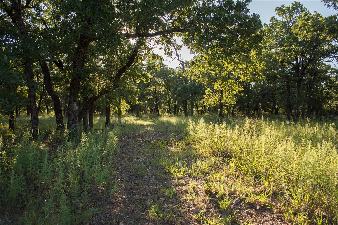 1020 Post Oak Road, Gordon, TX, 76453