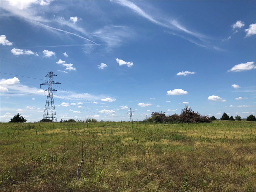 Property photo 04 of 13 Bulldog Drive, Venus, TX 76084 | MLS #13898784