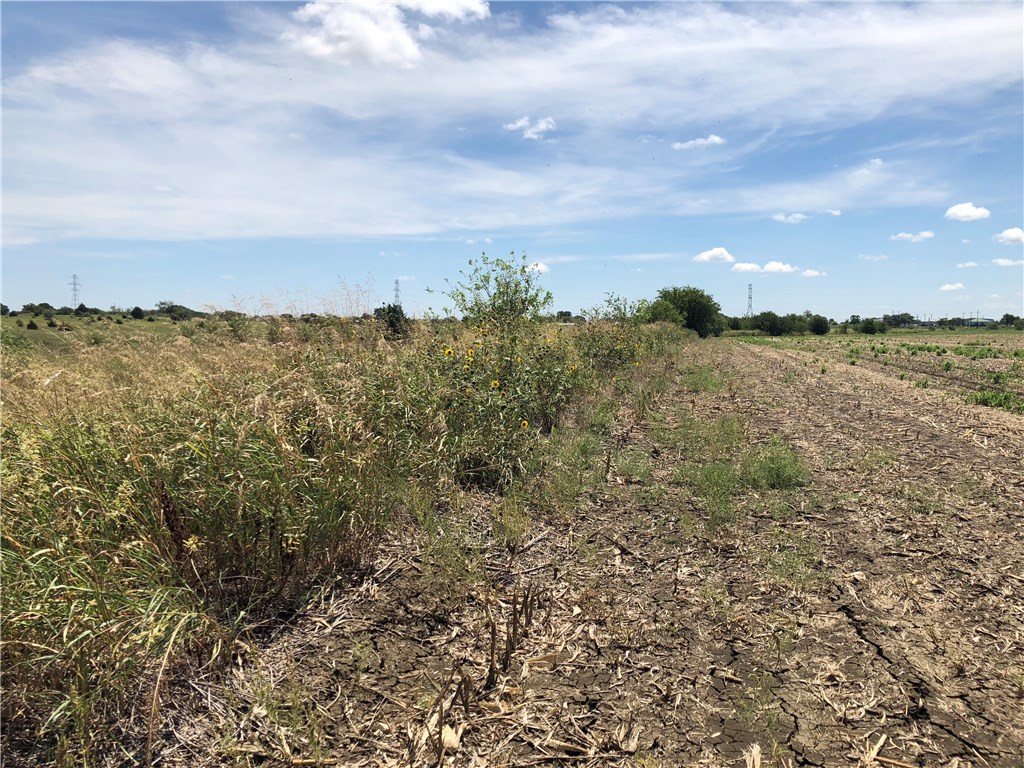 13 Bulldog Drive, Venus, TX, 76084