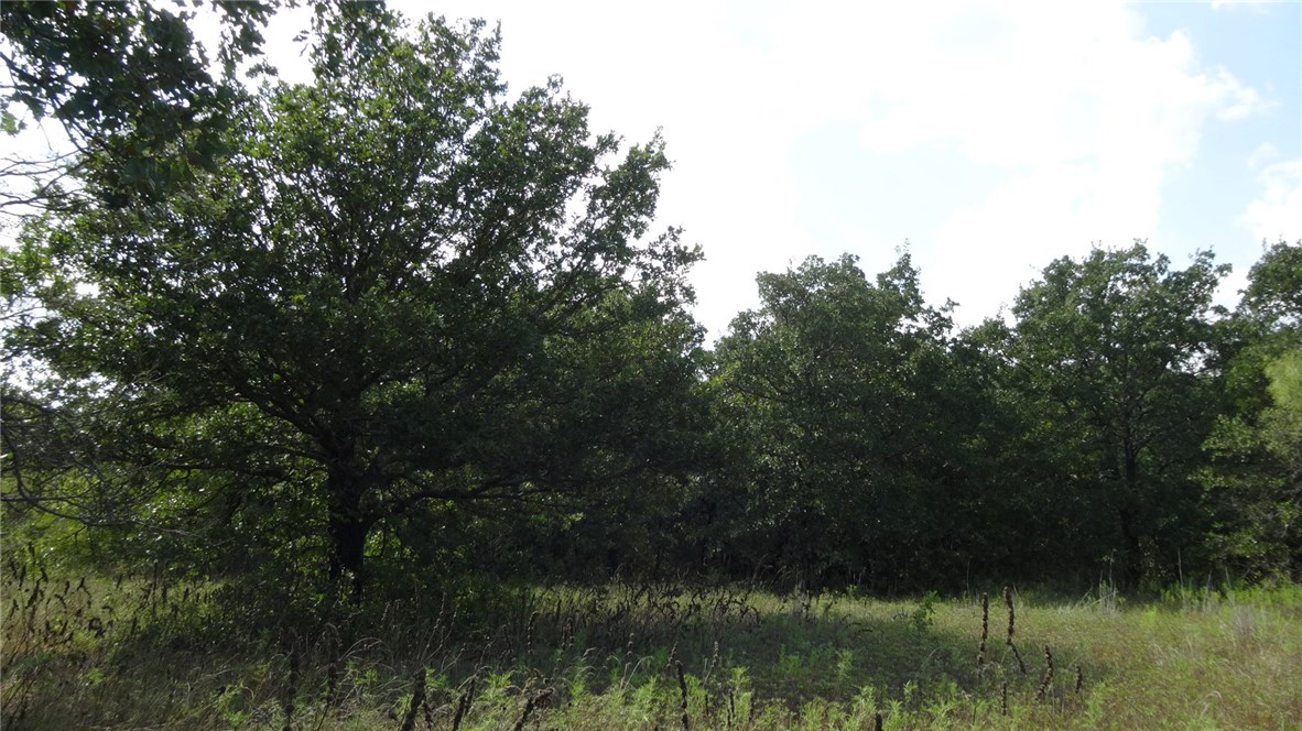 Property photo 04 of TBD Hwy 114, Boyd, TX 76023 | MLS #14174833