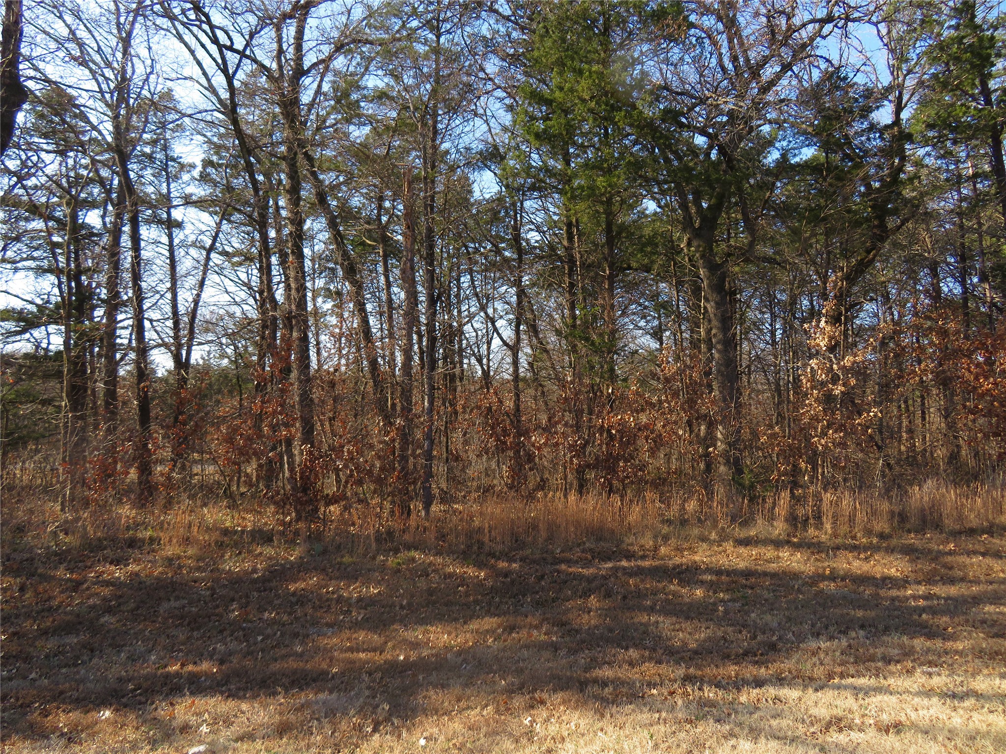 Property photo 02 of 3 Annadale Lane, Gordonville, TX 76245 | MLS #14560330