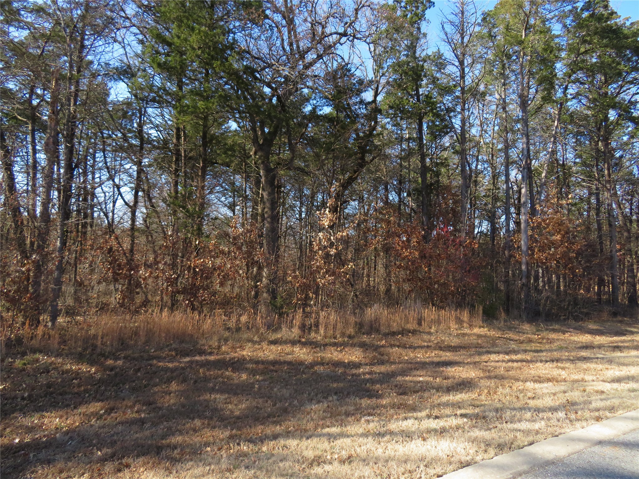 Property photo 03 of 3 Annadale Lane, Gordonville, TX 76245 | MLS #14560330