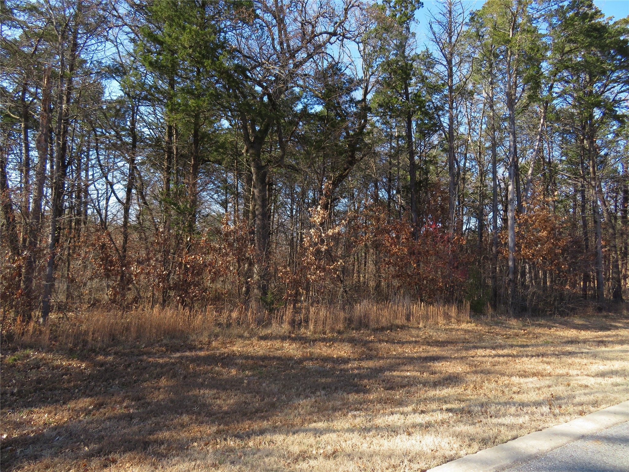 Property photo 04 of 3 Annadale Lane, Gordonville, TX 76245 | MLS #14560330