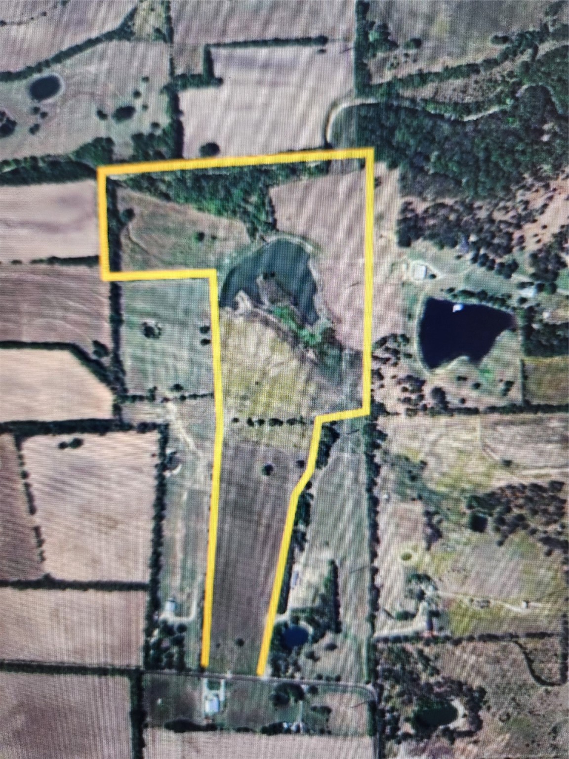 Property photo 02 of TBD County Road 623, Farmersville, TX 75442 | MLS #14602011