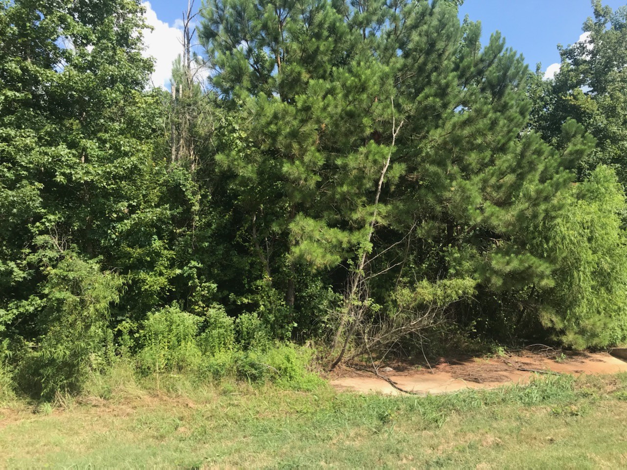Property photo 04 of MLS #14650099 | MLS #14650099
