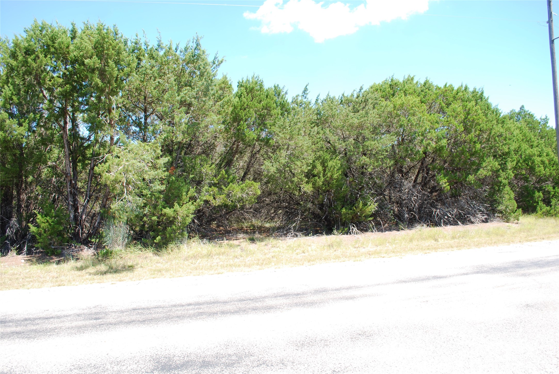 Property photo 01 of 8183 Cedar Crest Drive, Whitney, TX 76692 | MLS #20005355