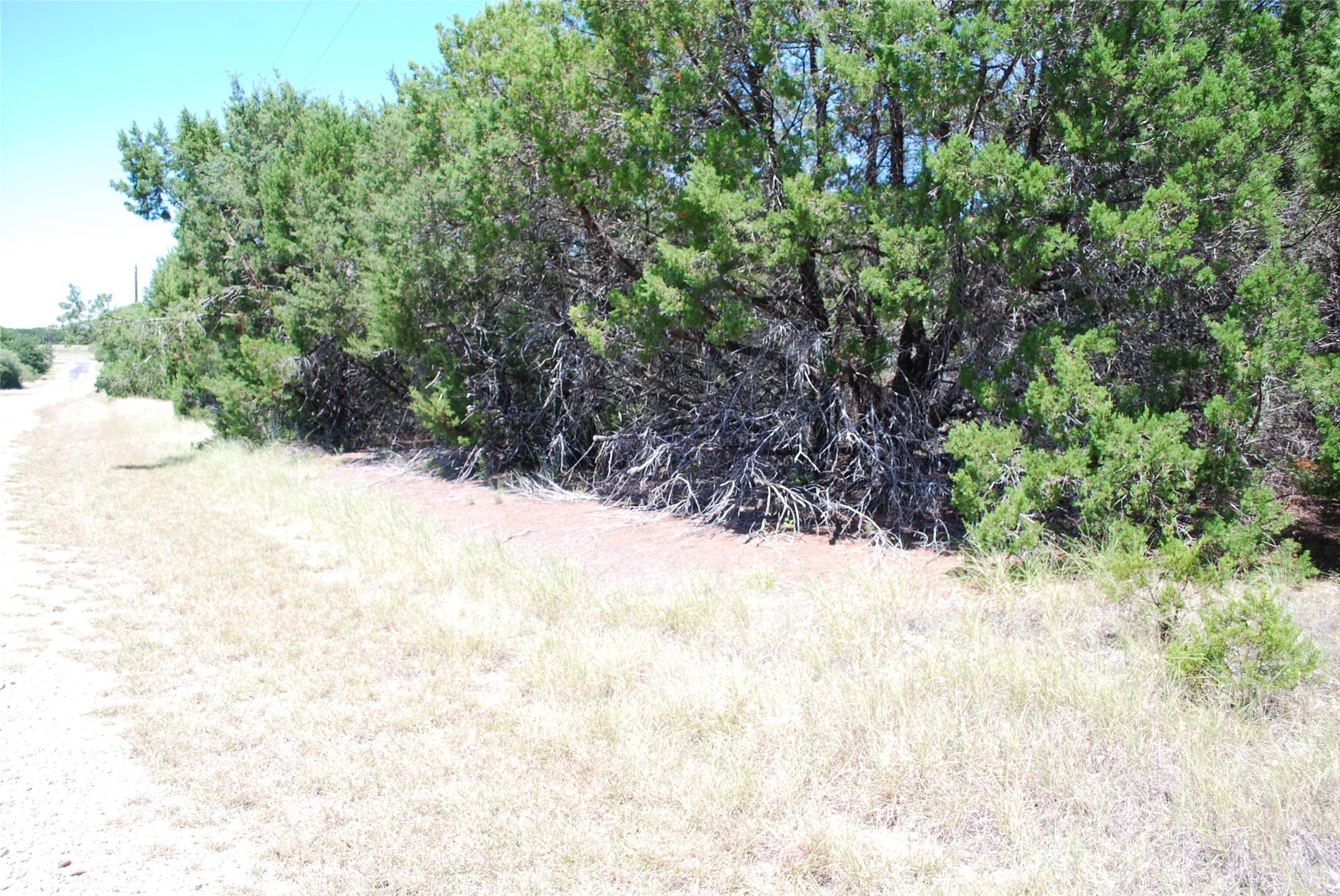 8183 Cedar Crest Drive, Whitney, TX, 76692