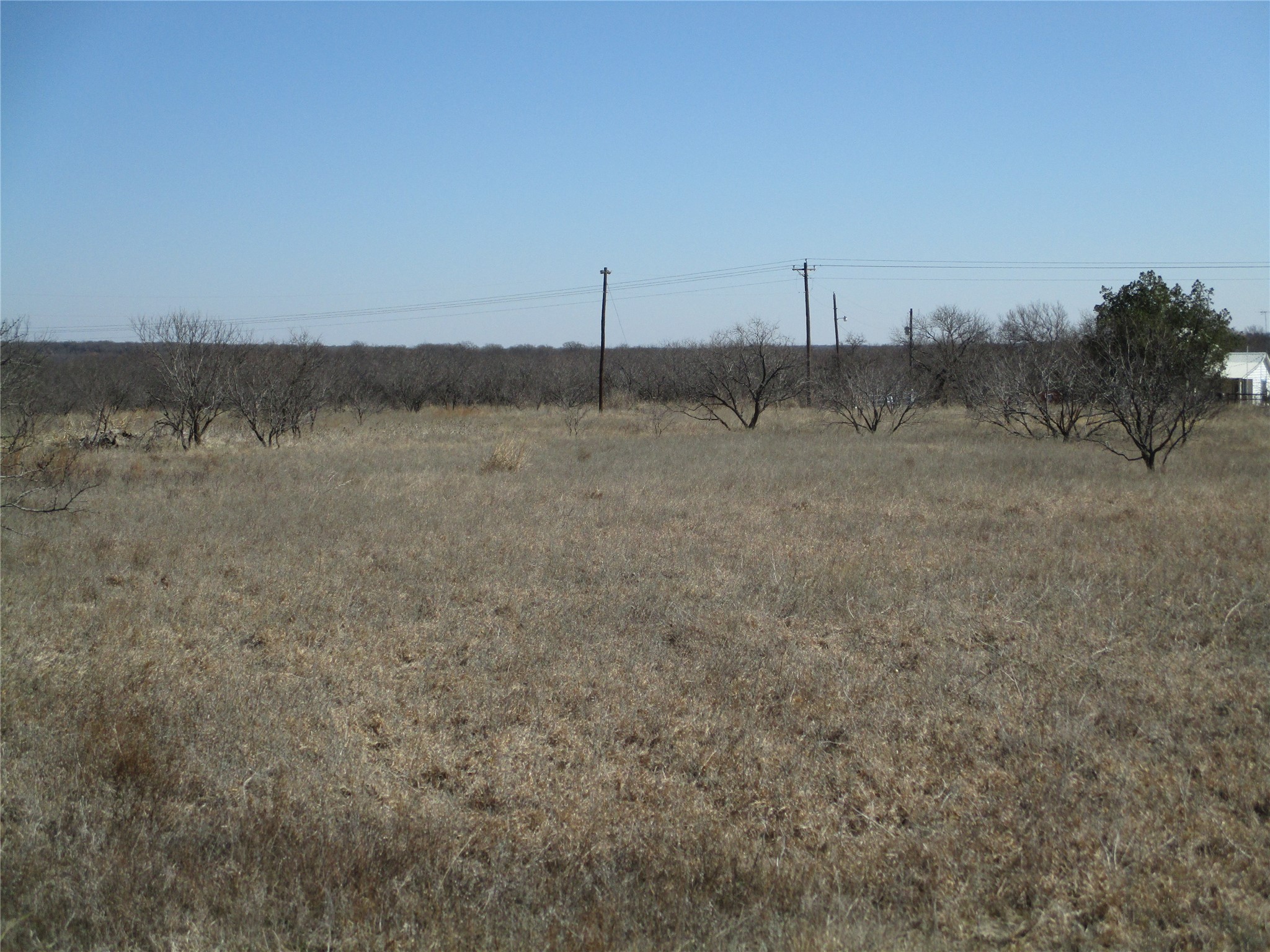 Property photo 02 of Lot 5 Old Joy Shannon, Bluegrove, TX 76352 | MLS #20007938
