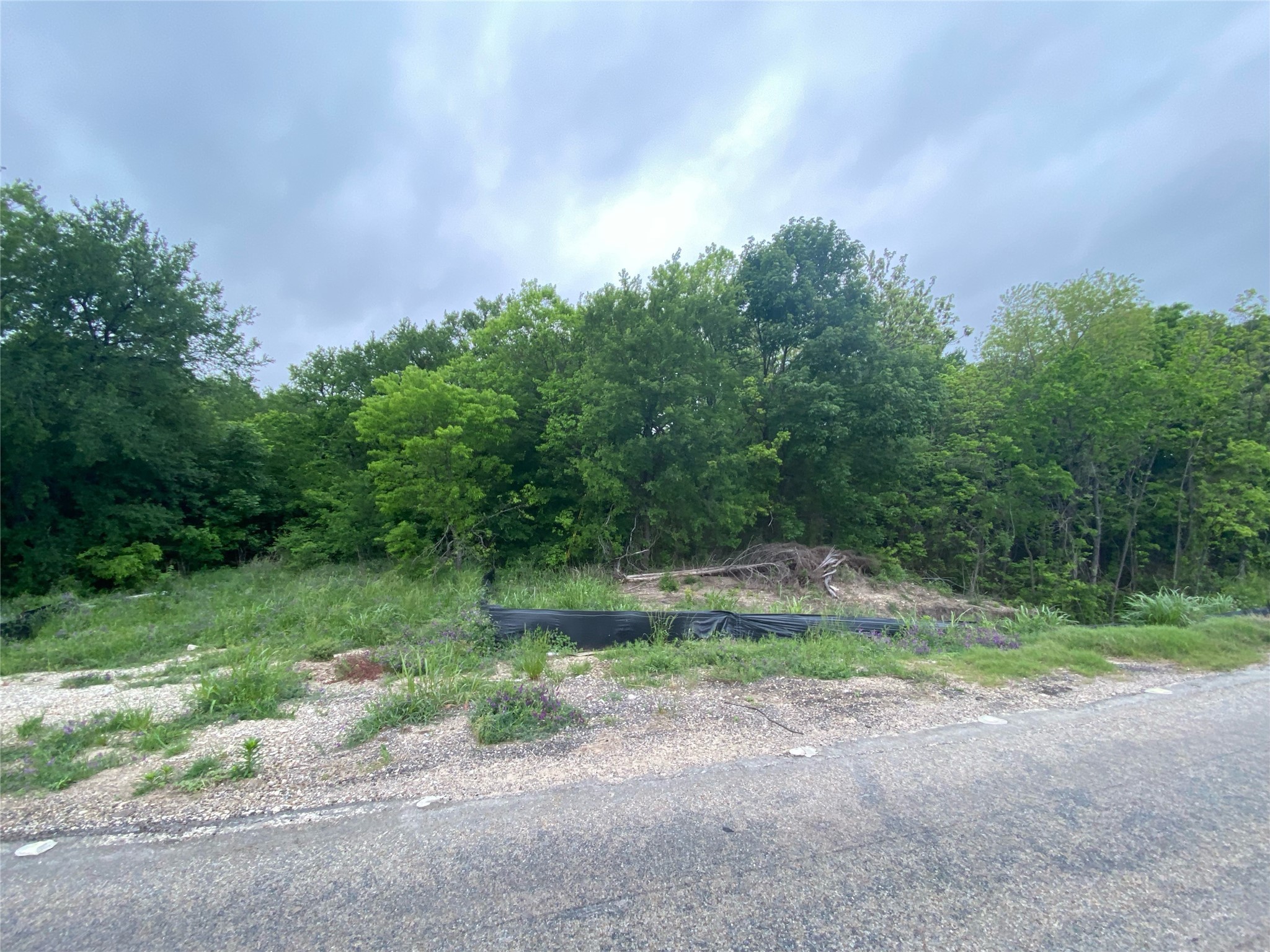 Property photo 01 of 0000 Hwy 75, Sherman, TX 75092 | MLS #20044677