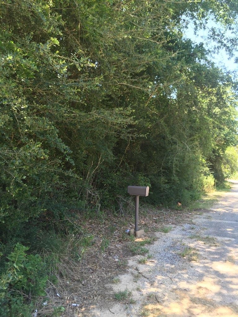 Property photo 04 of Btw Roosevelt & Alley Row Baker Street, Newton, TX 75966 | MLS #20080788
