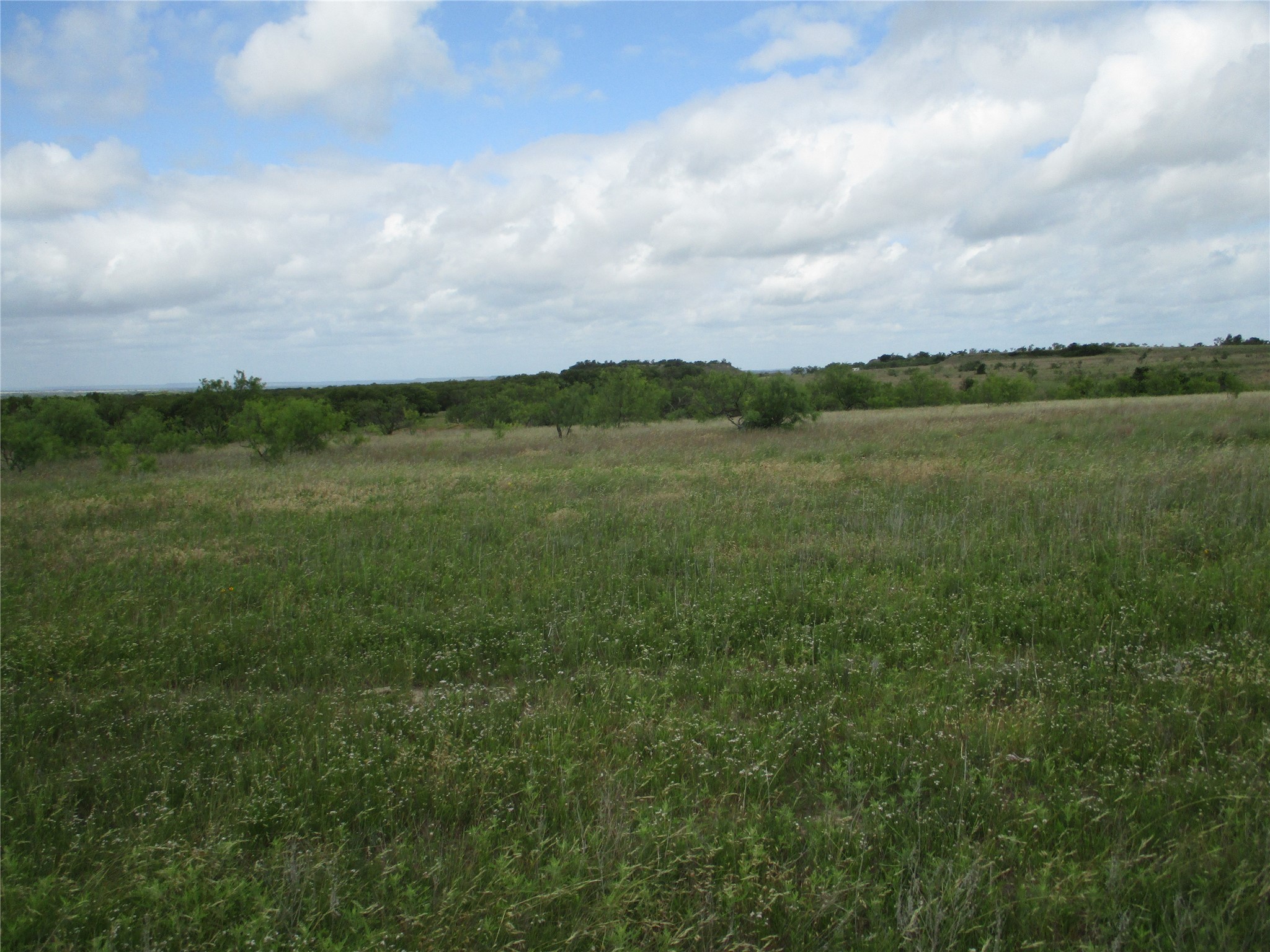 Property photo 01 of 13 AC Elenburg Rd, Perrin, TX 76486 | MLS #20086744