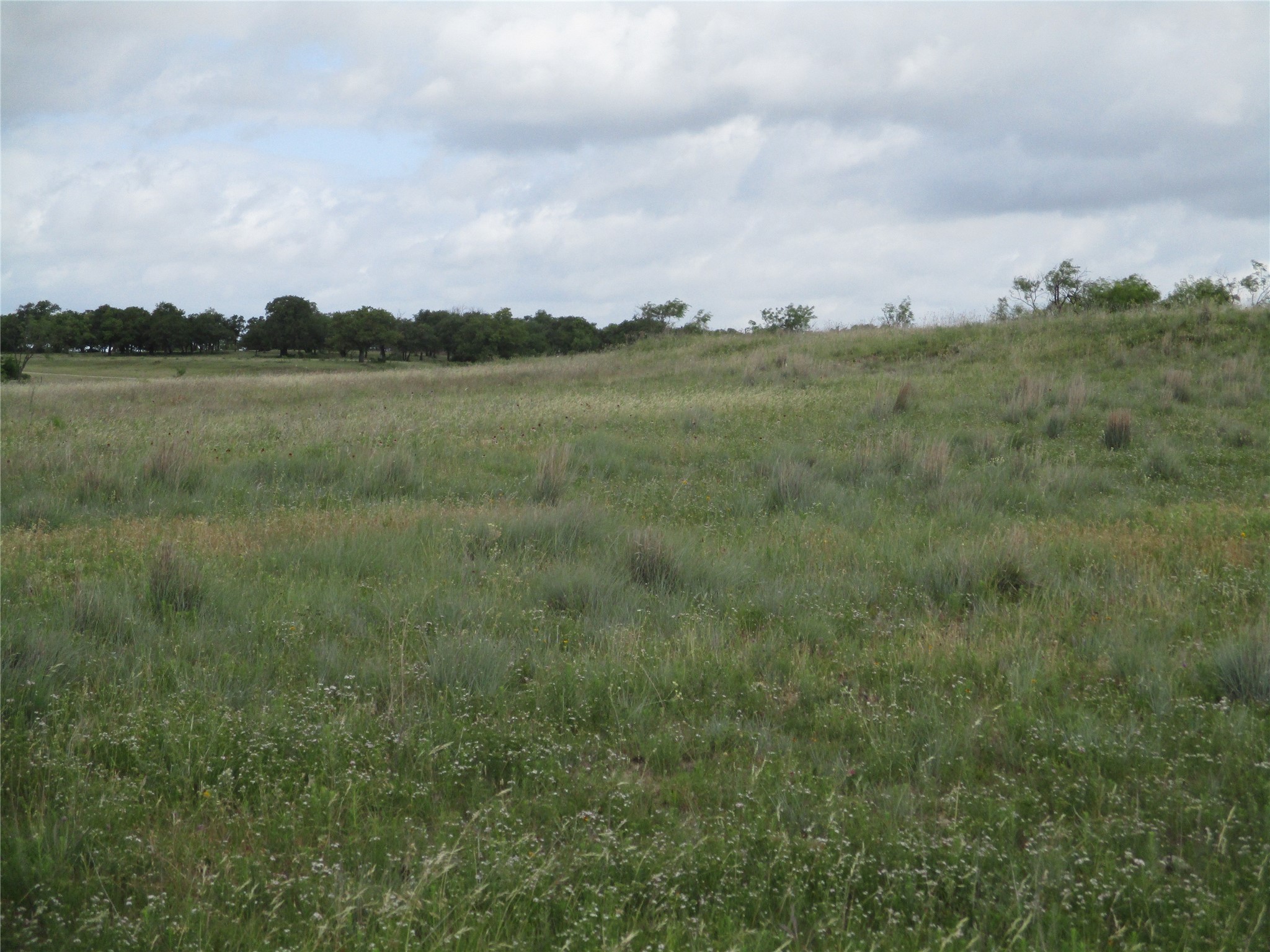 13 AC Elenburg Rd, Perrin, TX, 76486
