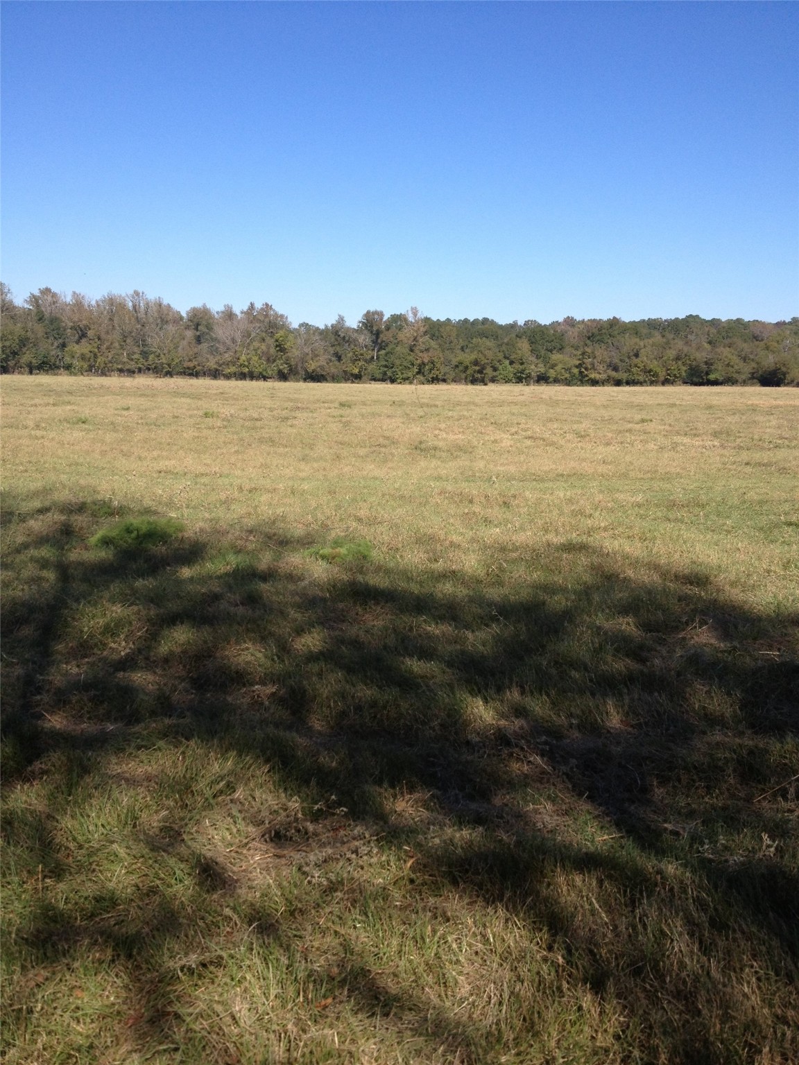 Property photo 02 of 2280 County Road 129, Tyler, TX 75703 | MLS #20101713