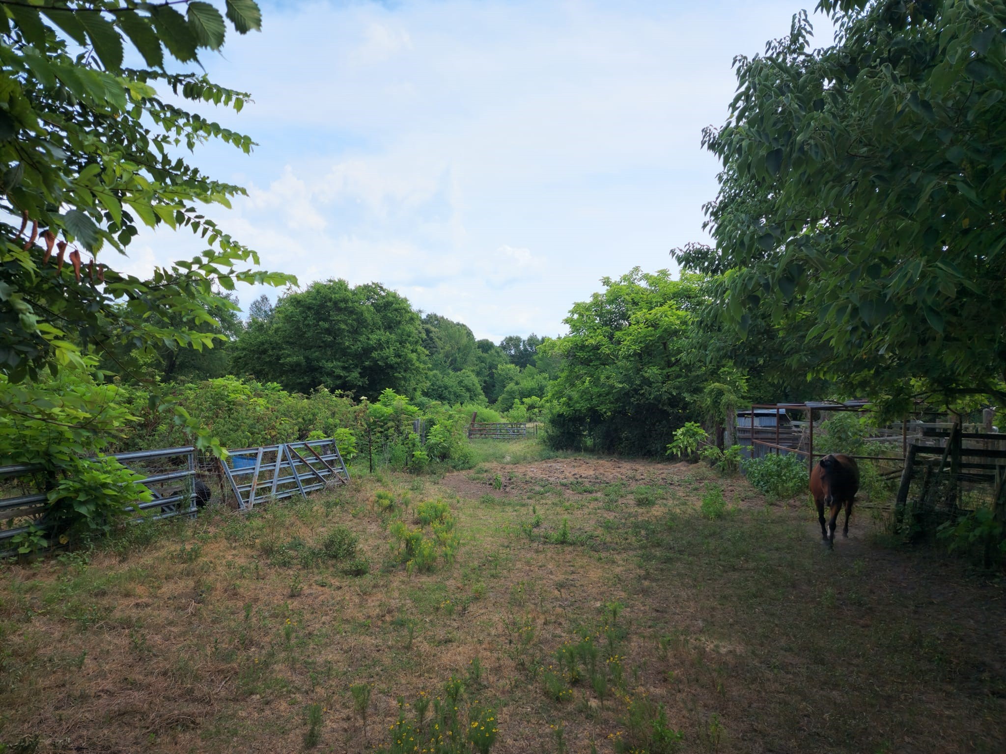 2110 Fm 275, Emory, TX, 75440