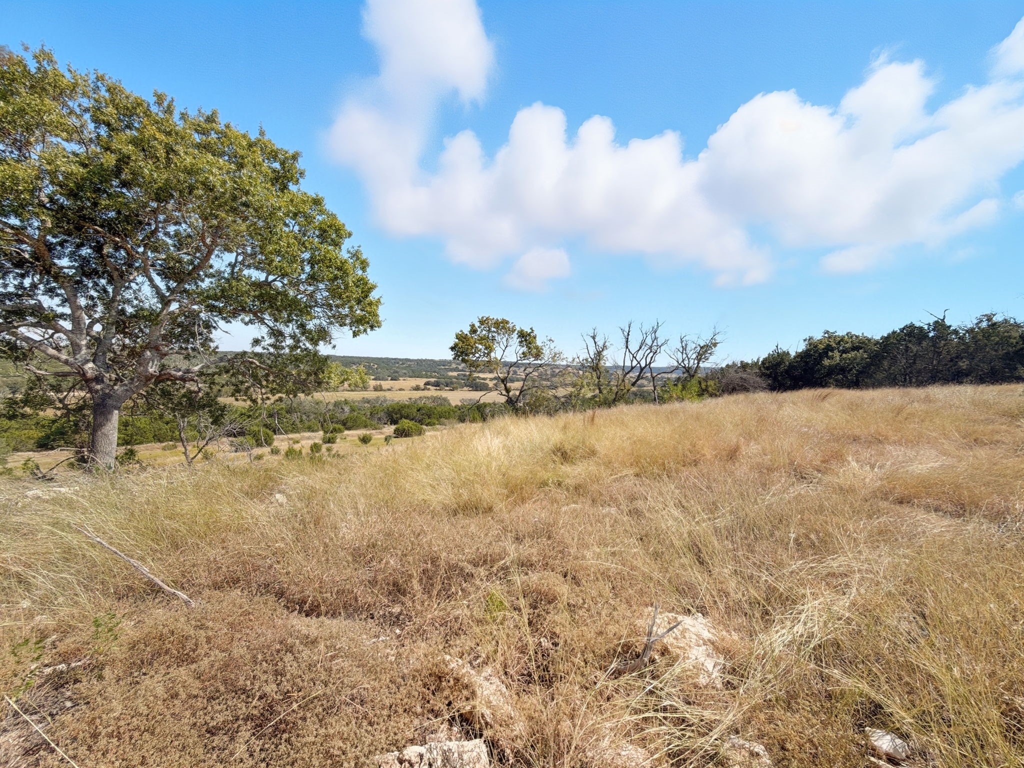 Property photo 01 of TBD FM 2414 - Tract 4, Evant, TX 76526 | MLS #20112080