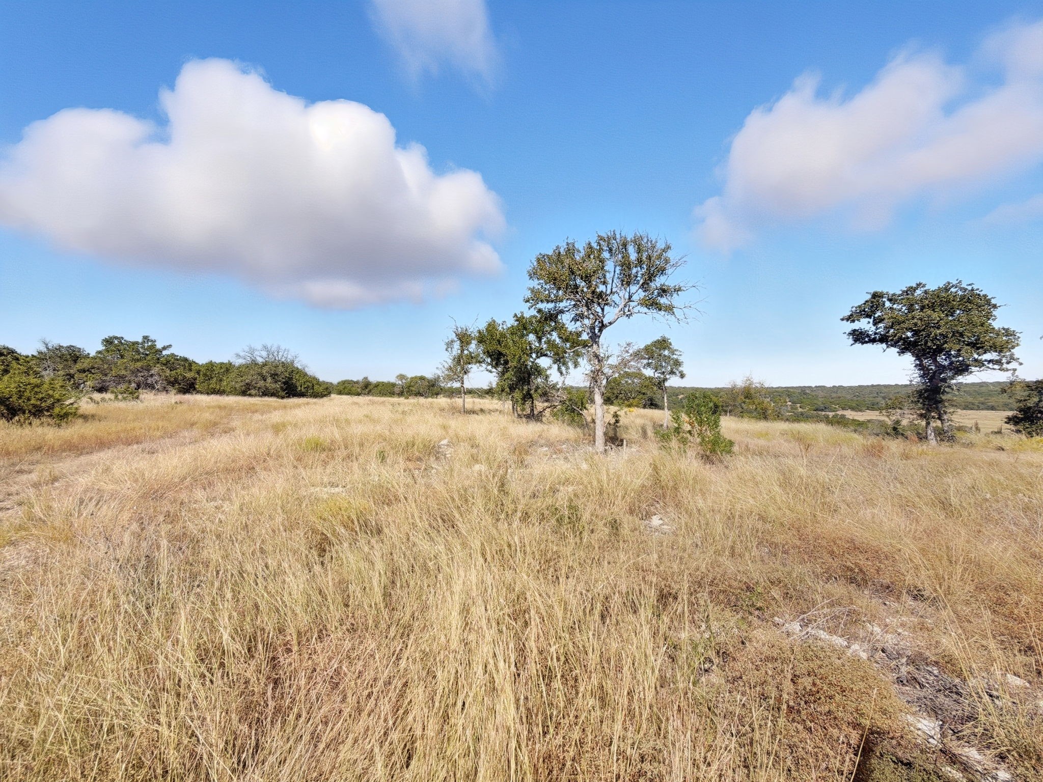 Property photo 02 of TBD FM 2414 - Tract 4, Evant, TX 76526 | MLS #20112080