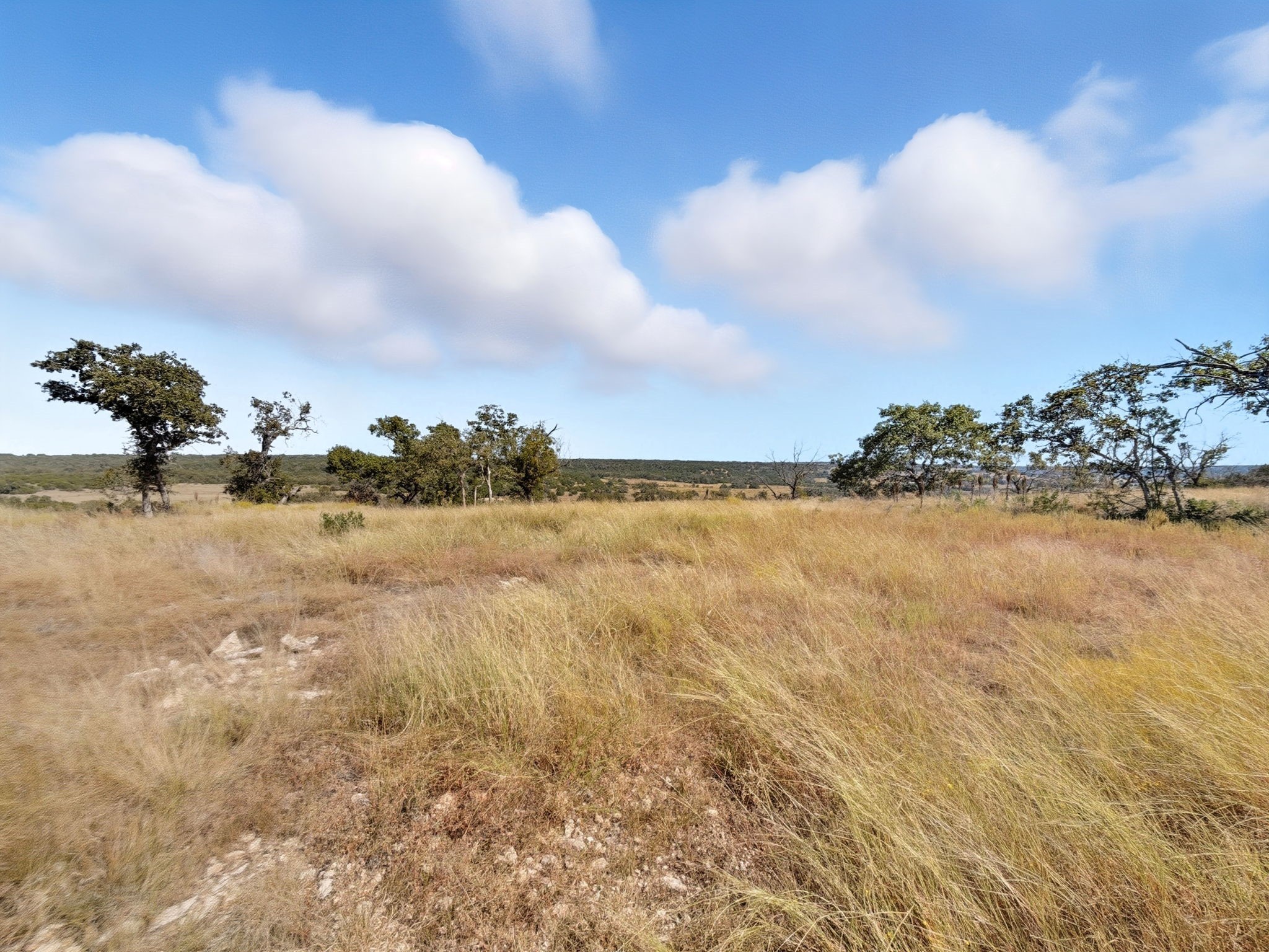 TBD FM 2414 - Tract 4, Evant, TX, 76526