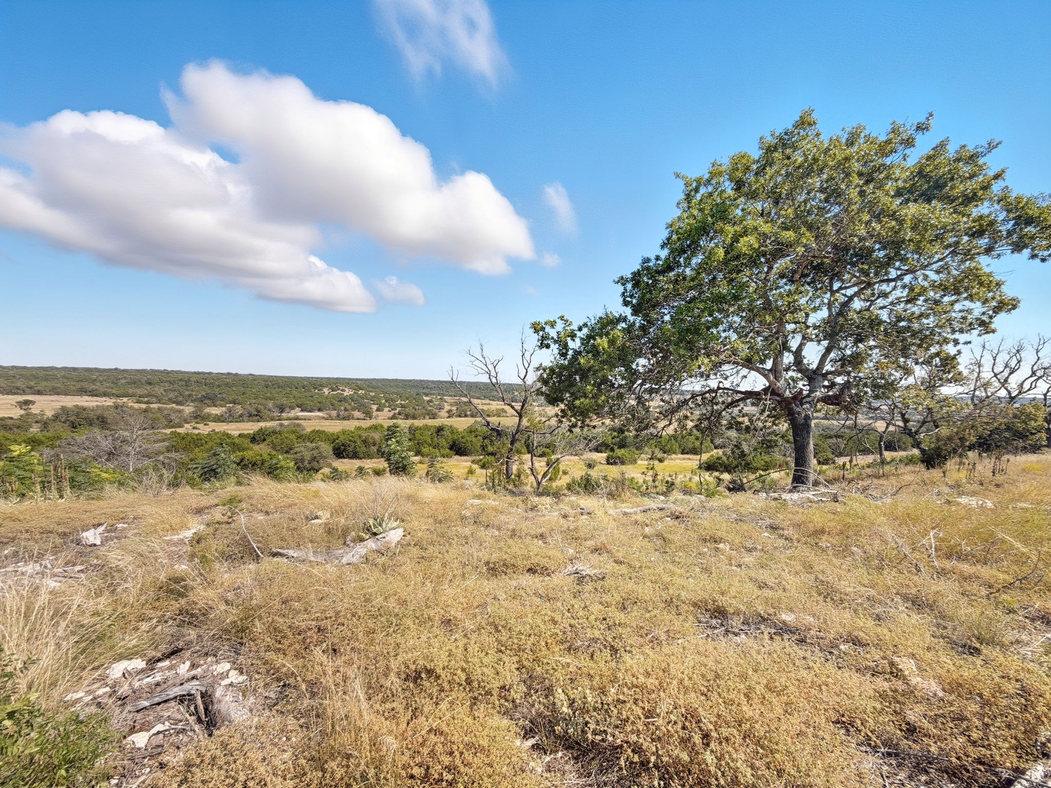 Property photo 04 of TBD FM 2414 - Tract 4, Evant, TX 76526 | MLS #20112080