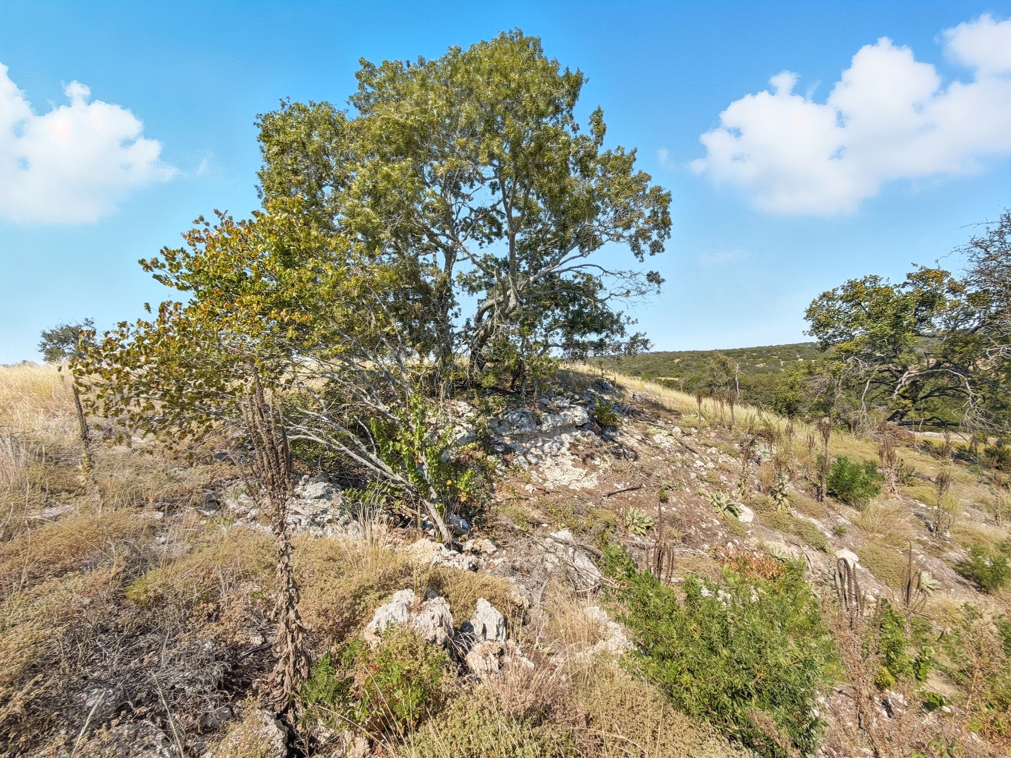 TBD FM 2414 - Tract 4, Evant, TX, 76526