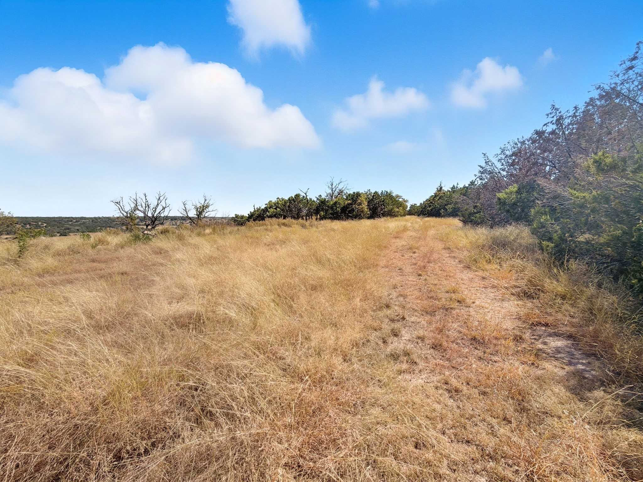 TBD FM 2414 - Tract 4, Evant, TX, 76526