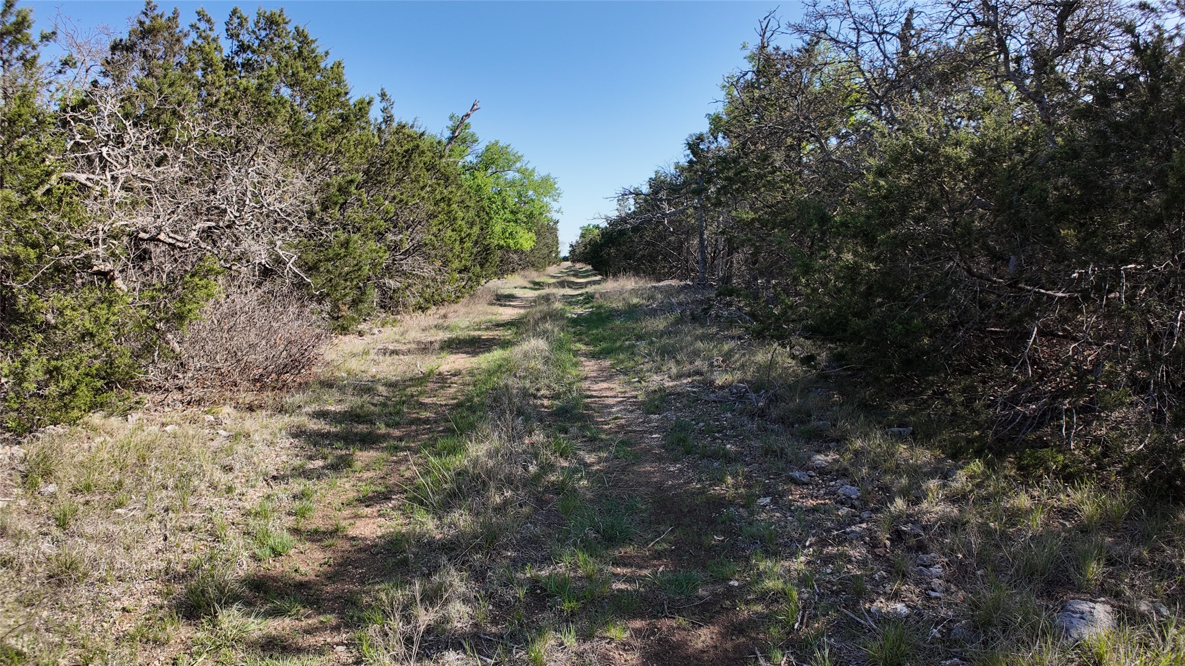 TBD FM 2414 - Tract 4, Evant, TX, 76526