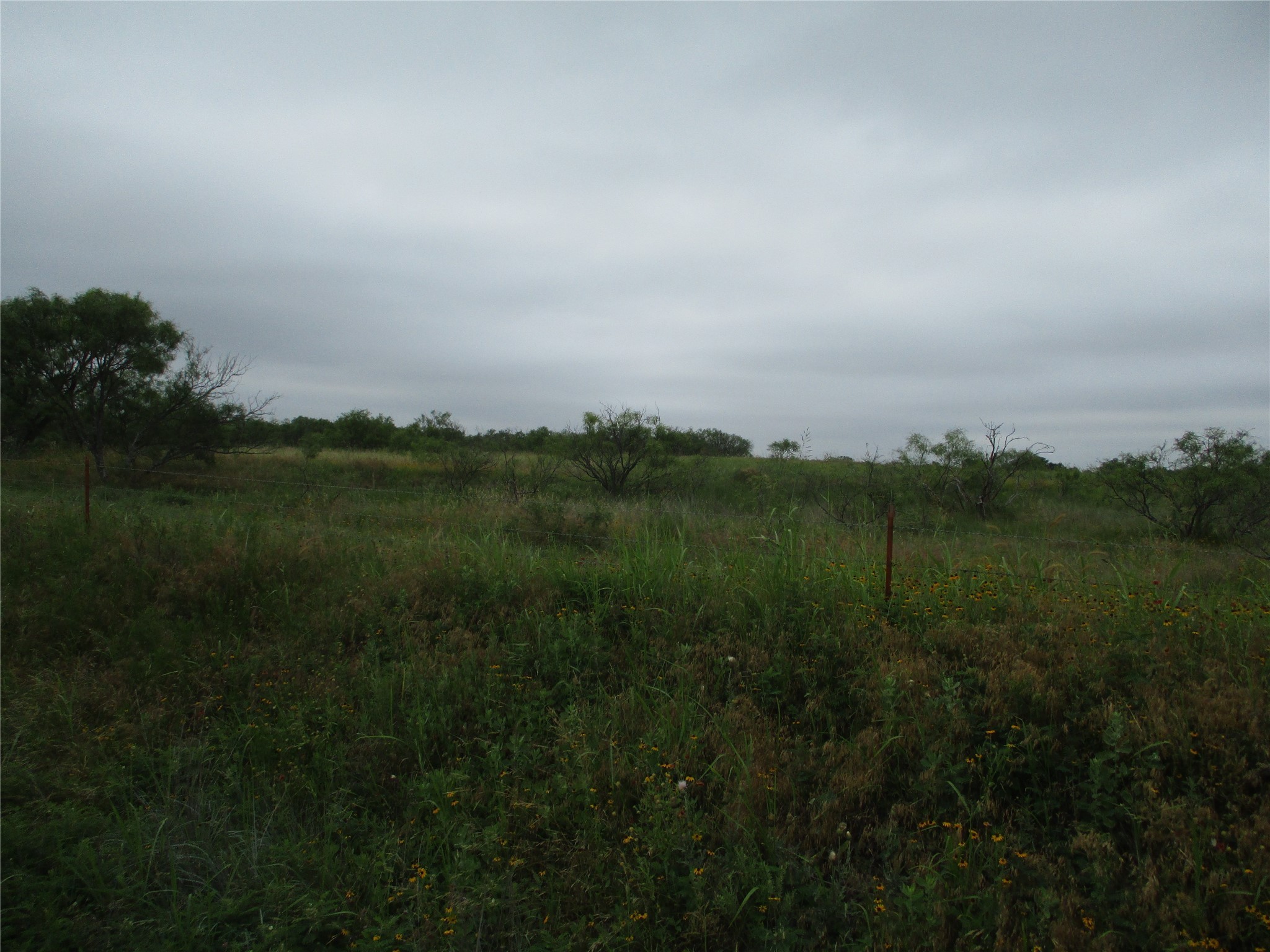 Lot 7 Old Joy Shannon, Bluegrove, TX, 76352