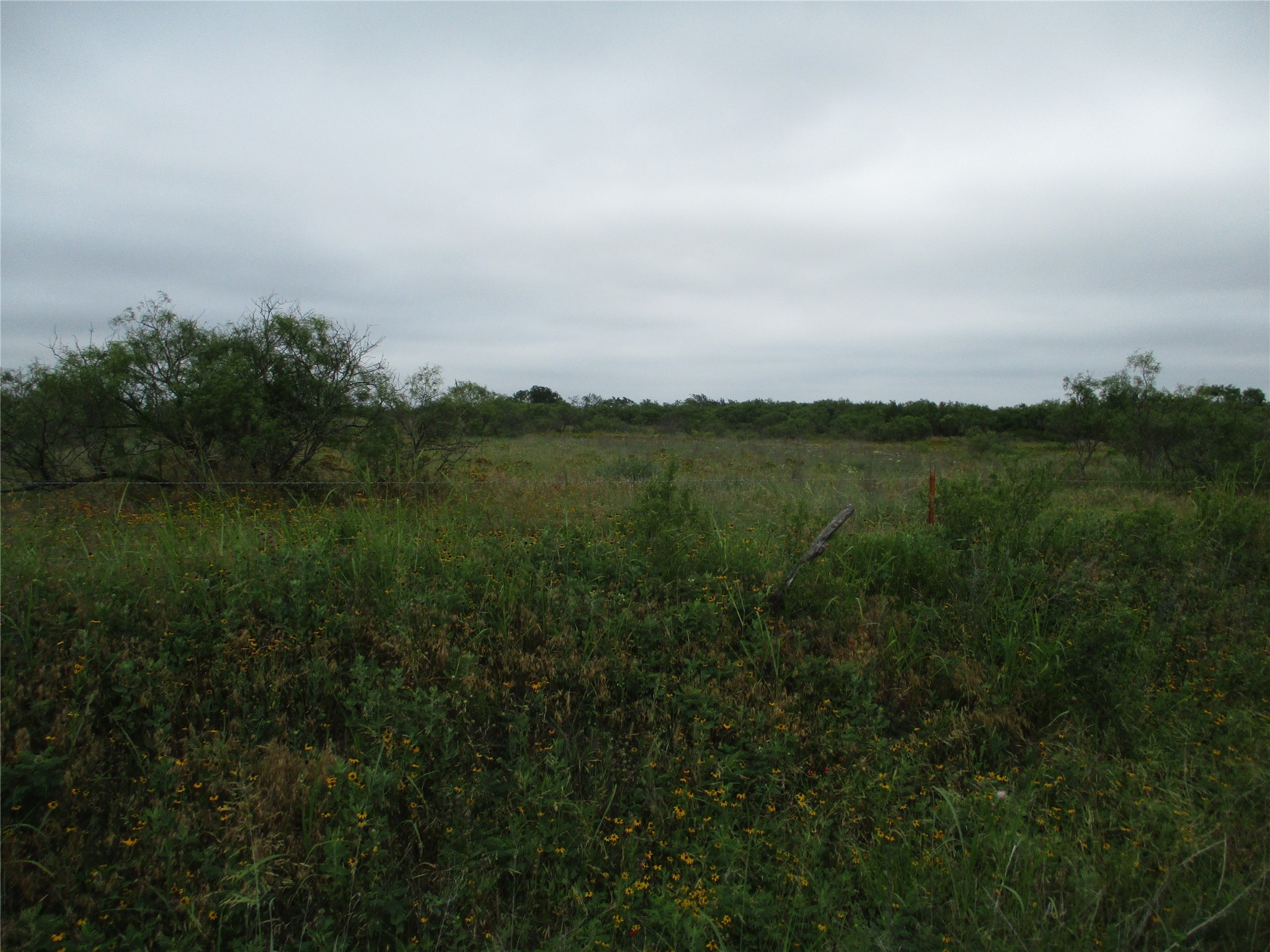 Lot 7 Old Joy Shannon, Bluegrove, TX, 76352