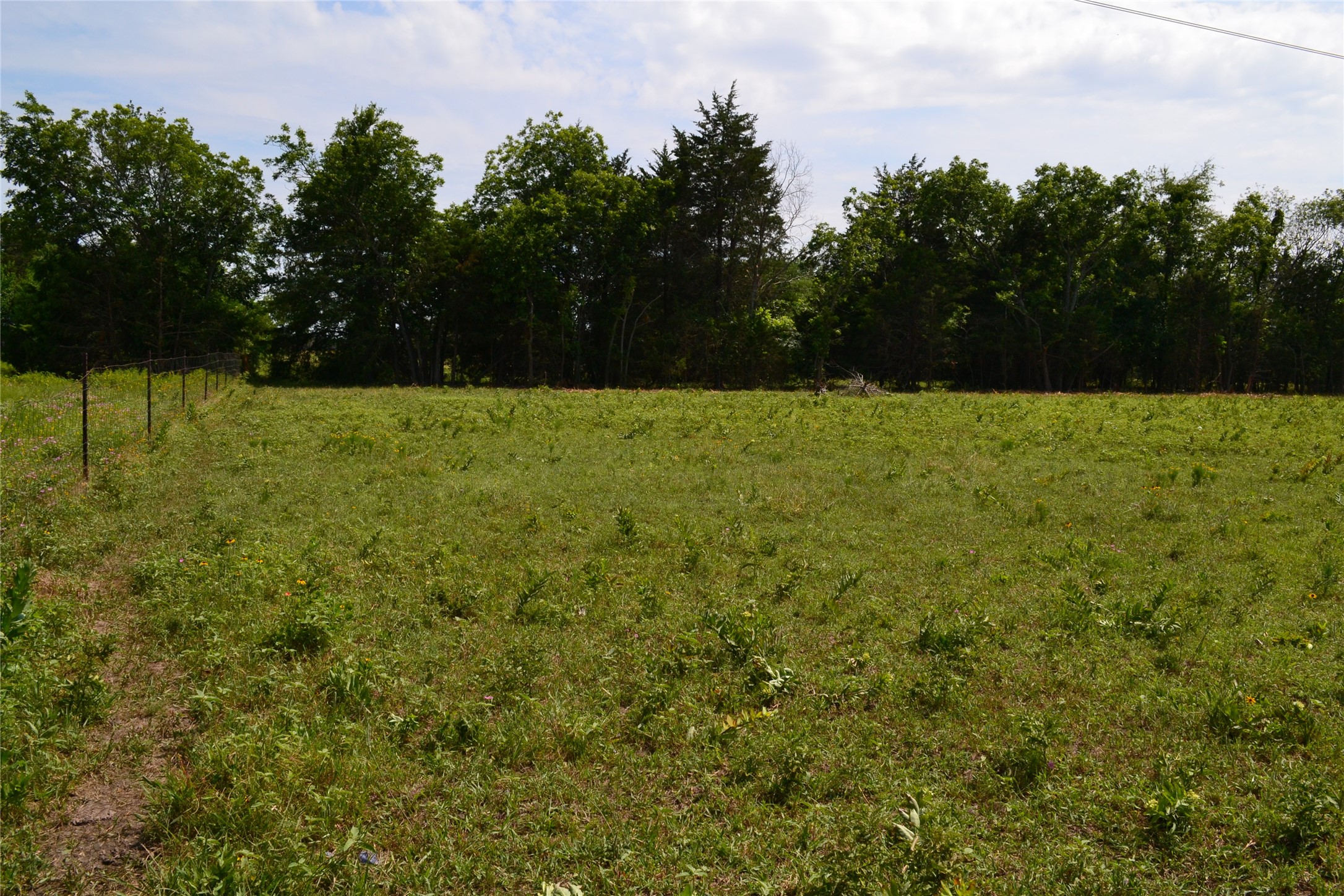 TBD County Rd 2244 Road, Quinlan, TX, 75474