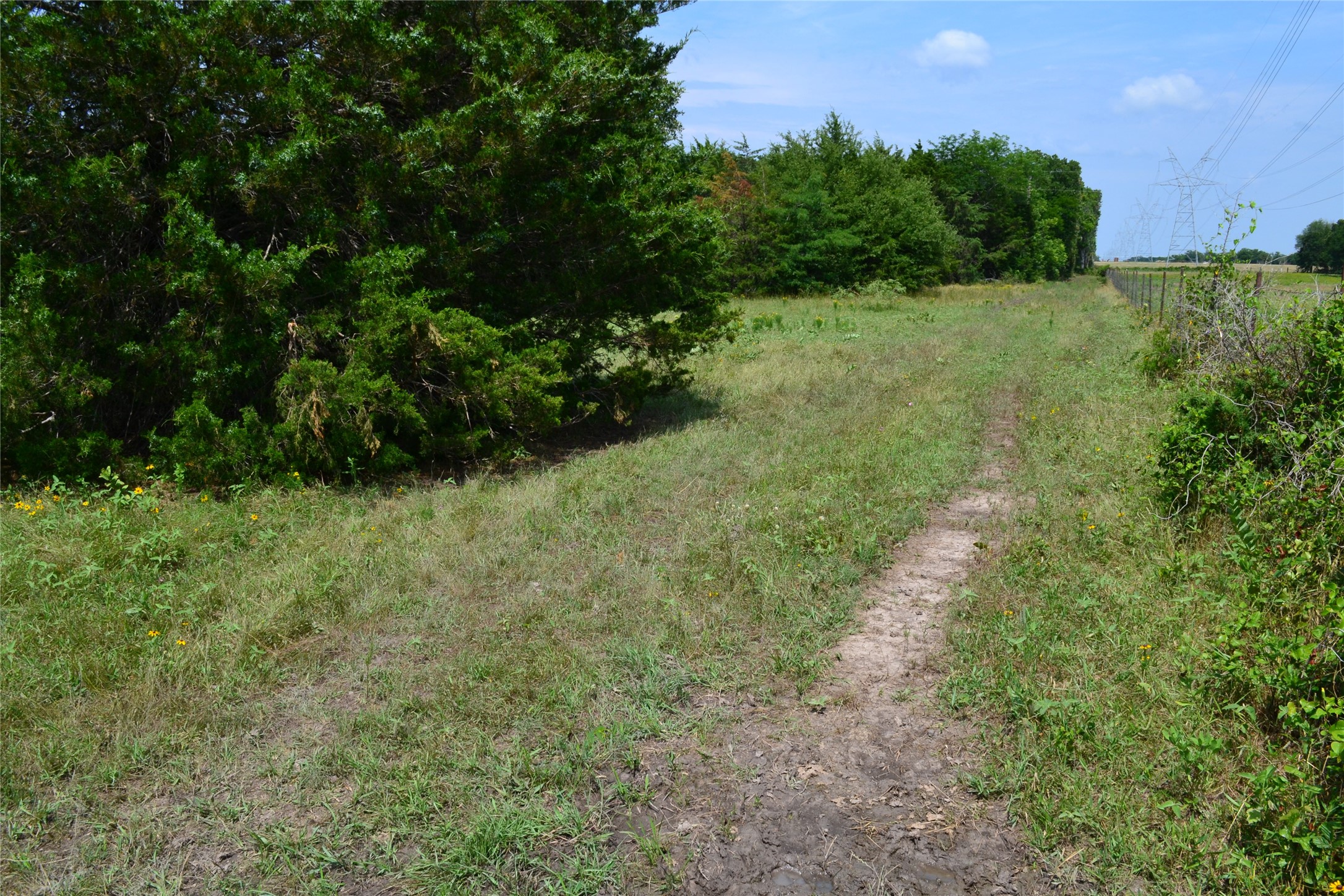 TBD County Rd 2244 Road, Quinlan, TX, 75474