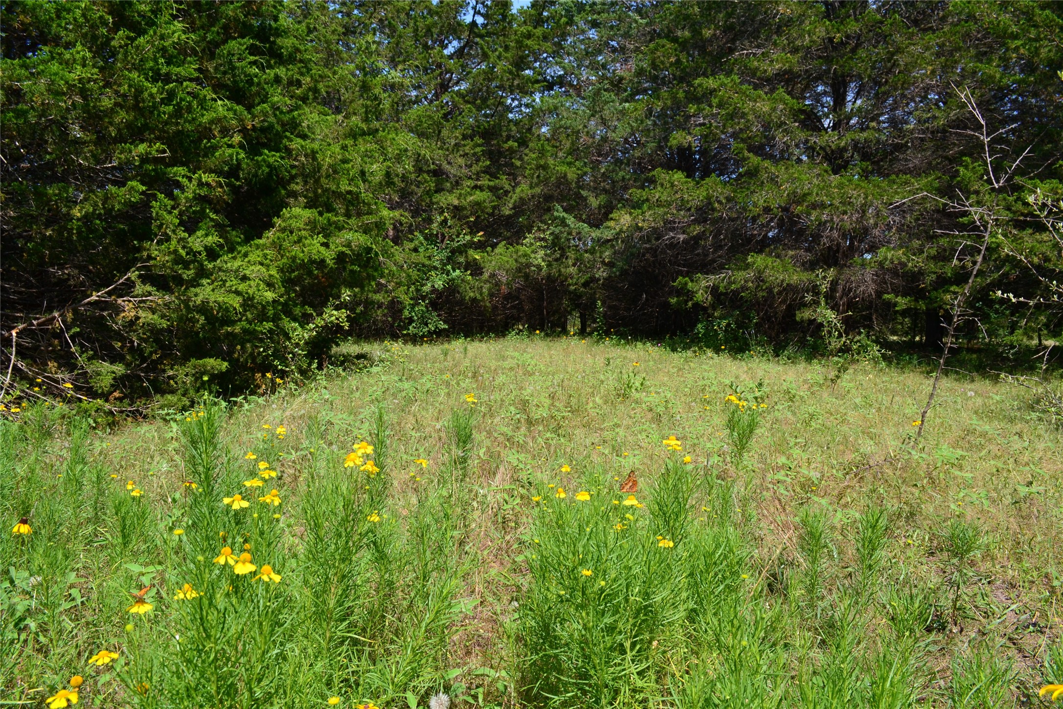 TBD County Rd 2244 Road, Quinlan, TX, 75474