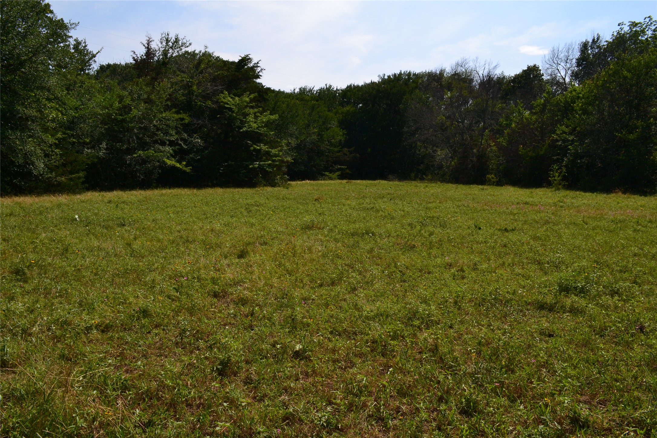 TBD County Rd 2244 Road, Quinlan, TX, 75474