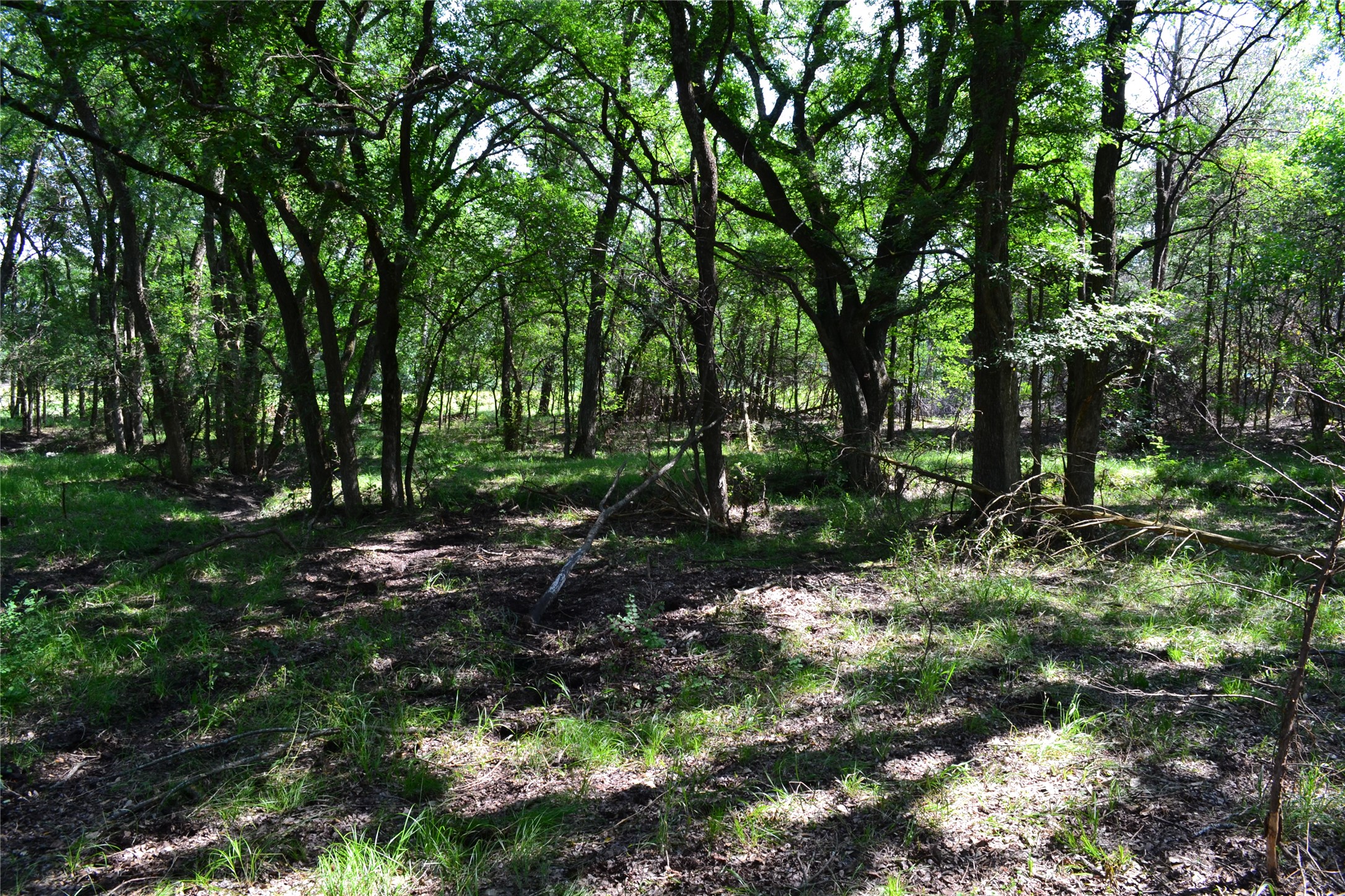 TBD County Rd 2244 Road, Quinlan, TX, 75474