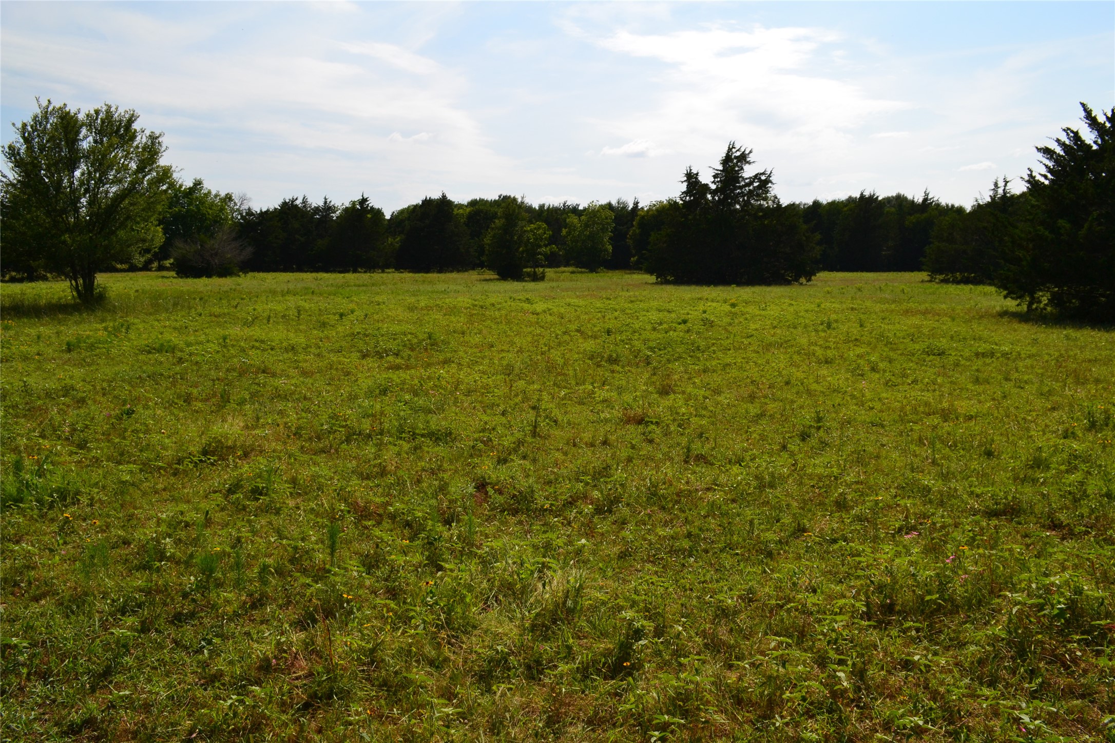 TBD County Rd 2244 Road, Quinlan, TX, 75474