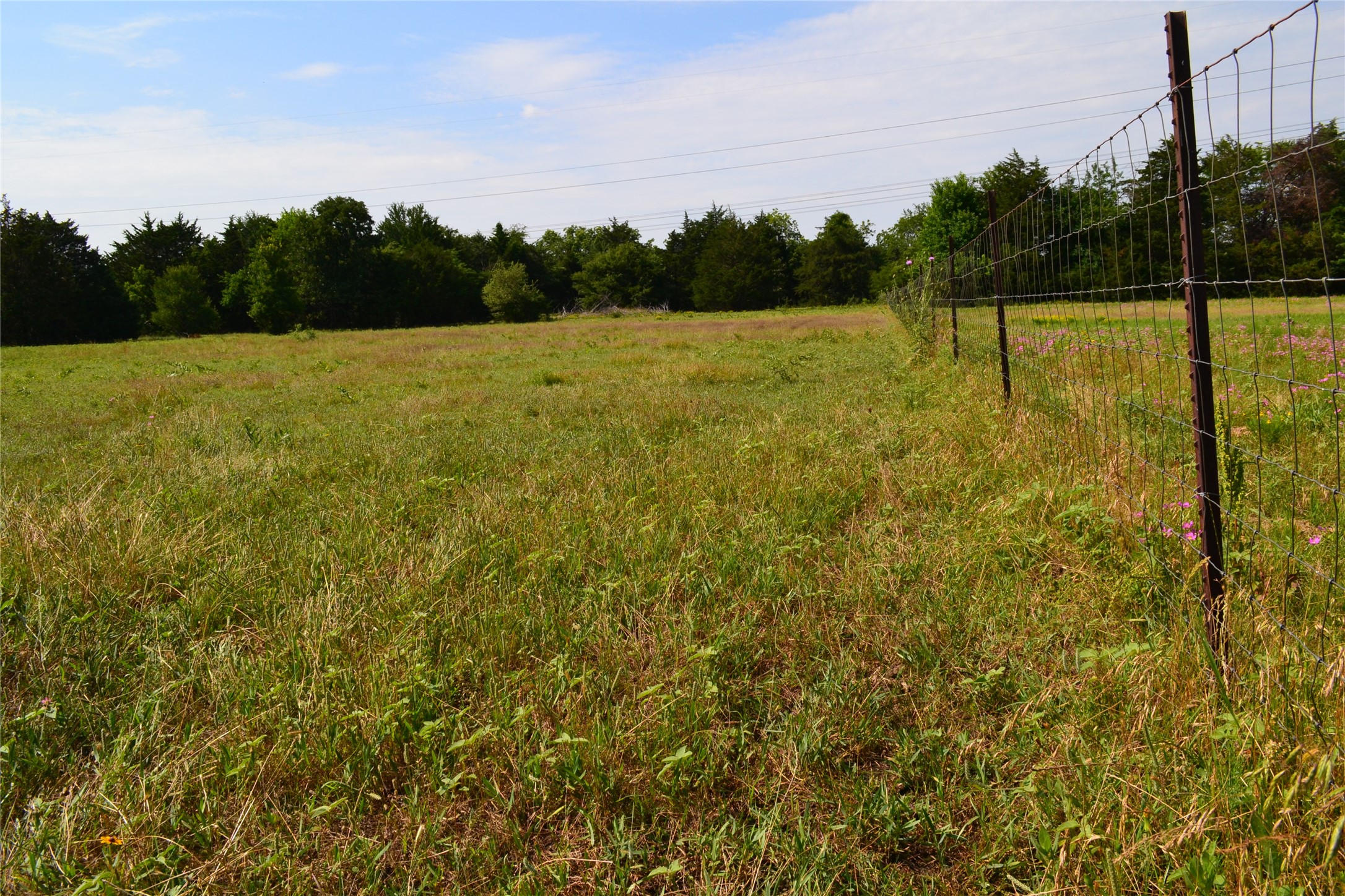 TBD County Rd 2244 Road, Quinlan, TX, 75474