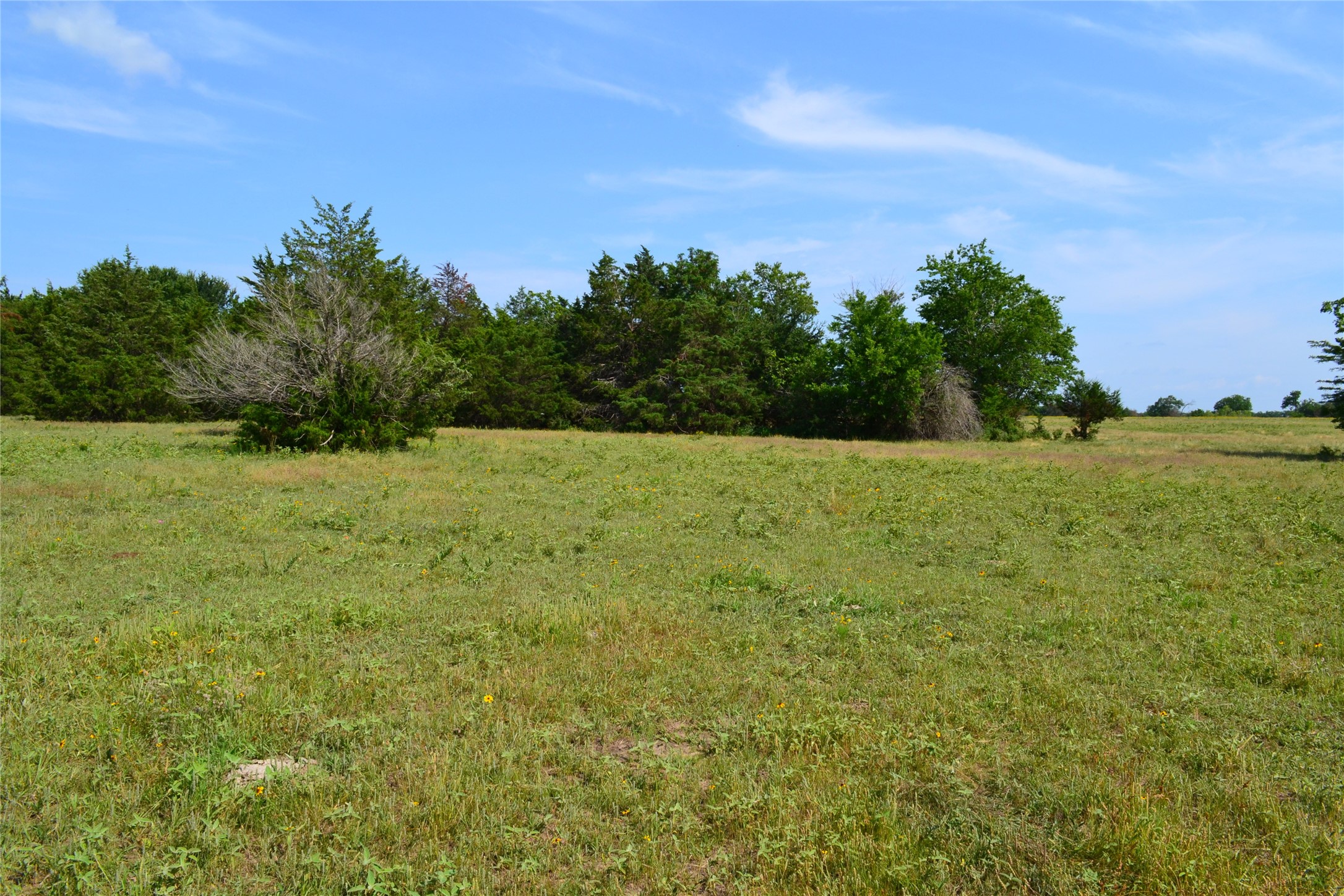 TBD County Rd 2244 Road, Quinlan, TX, 75474